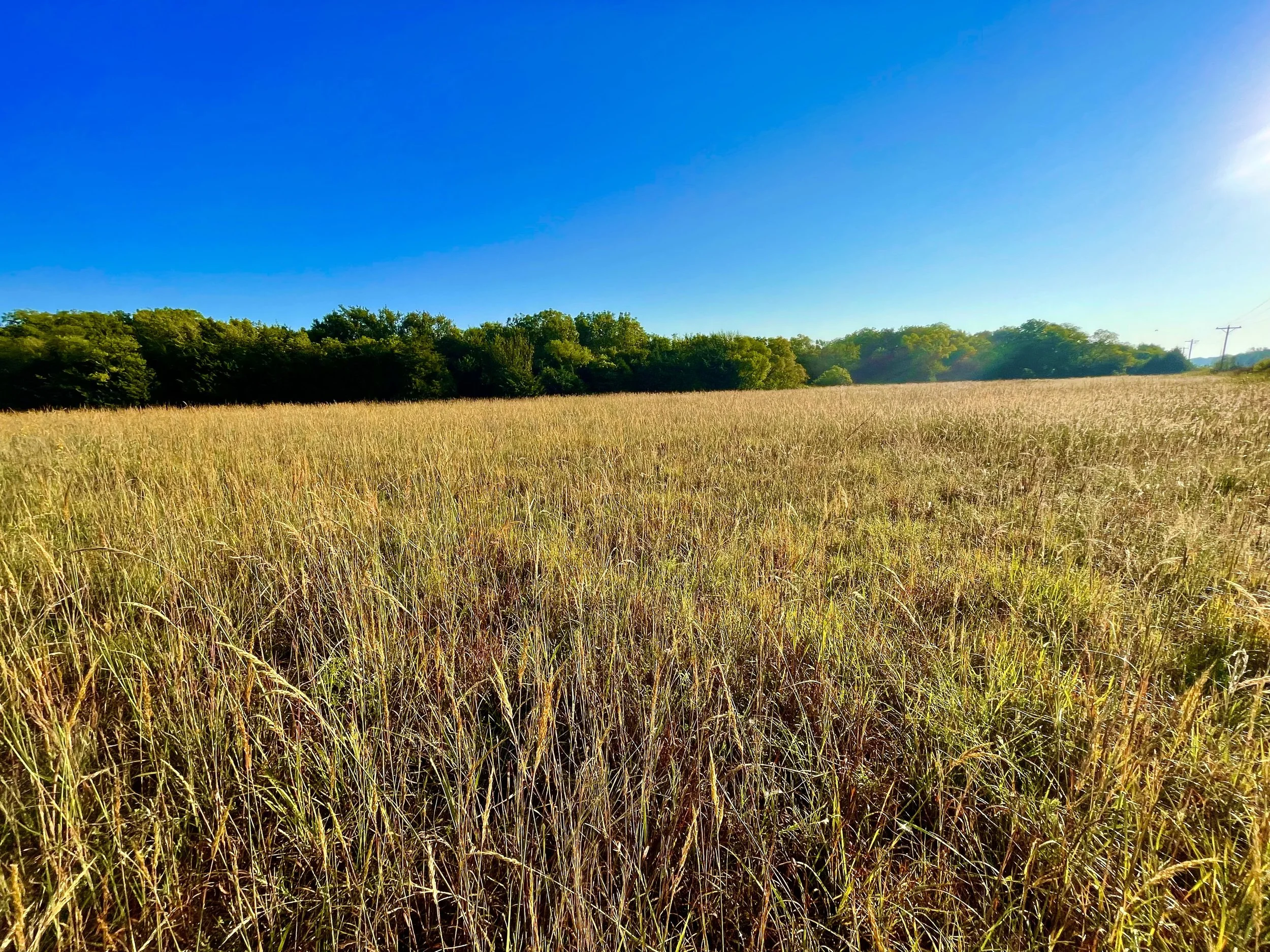 Legacy Programs — Sunflower Land Trust, Inc.