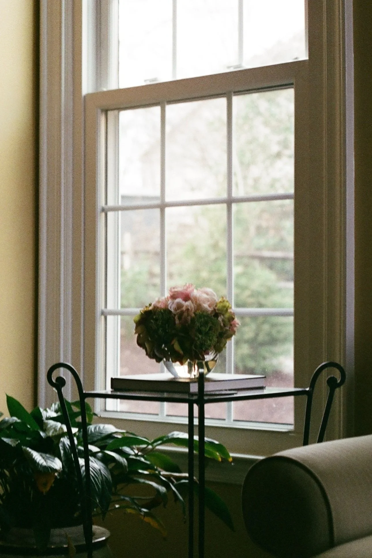 window.jpg