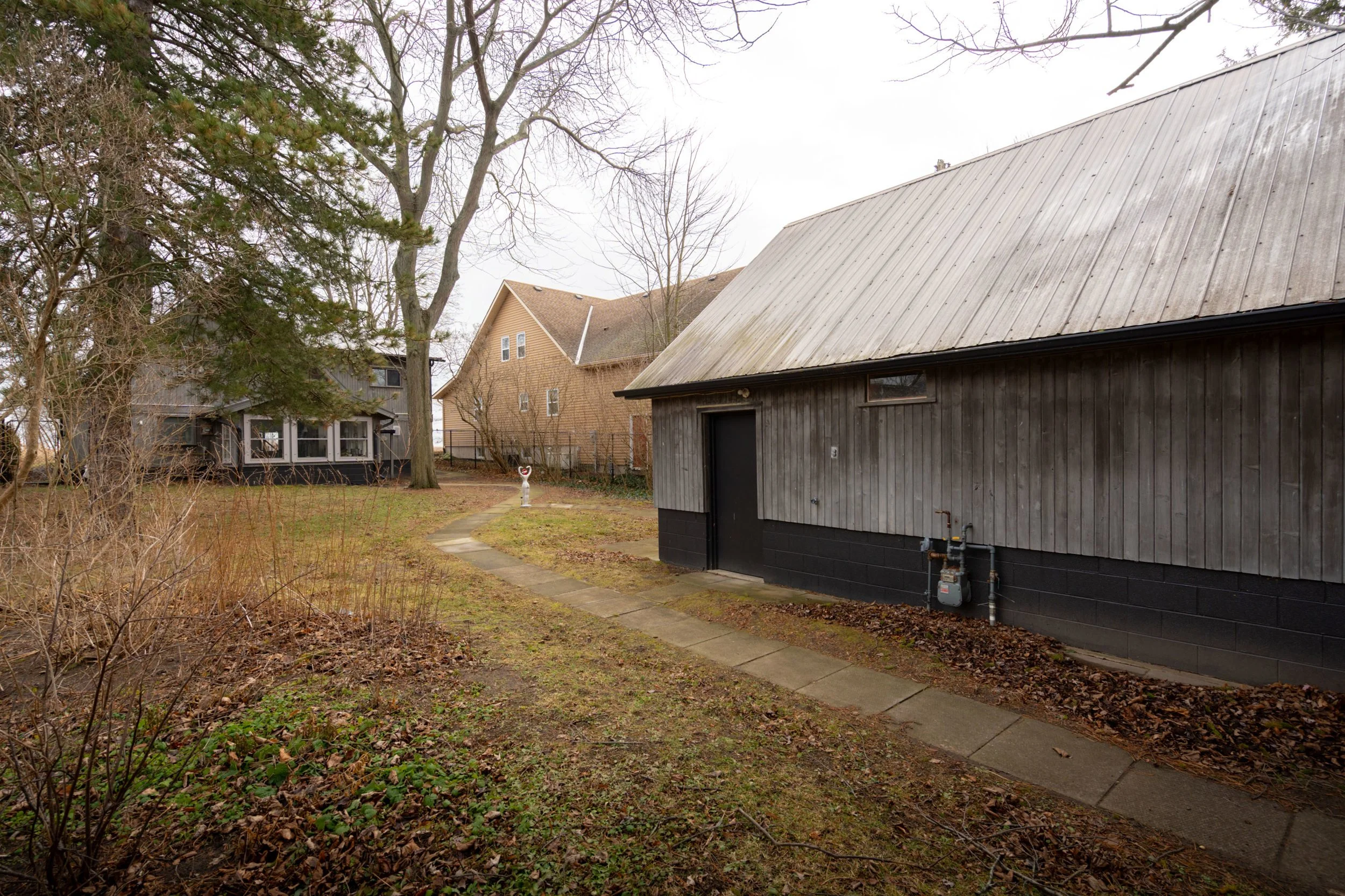 Backyard with a wooden shed, concrete pathway leading to neighboring house, leaf-covered ground, trees, overcast sky.
