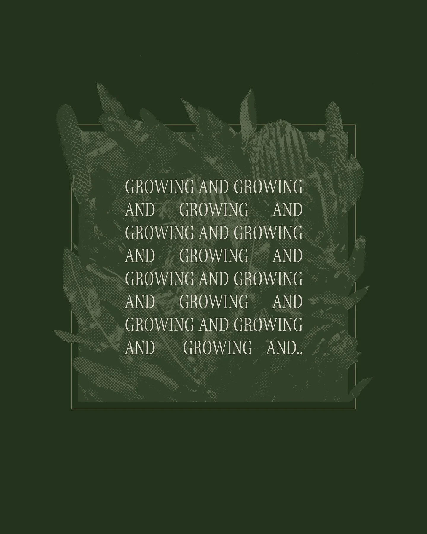 Excerpt from a native flora project we’ve been working on recently that we’re really looking forward to sharing soon. This cover concept didn’t make the final cut, but we still enjoyed its development🍃