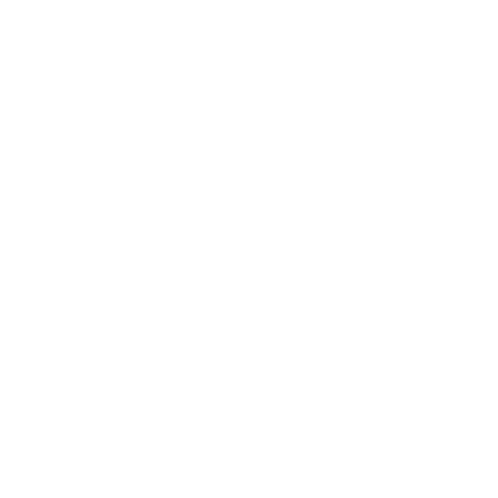 BDRIVEN LOGO 17.png