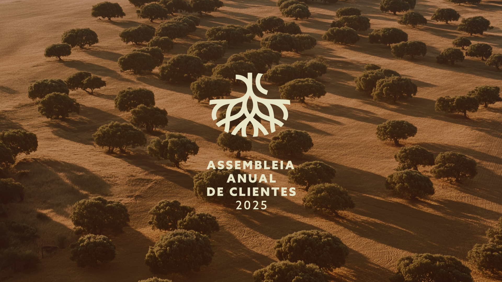 AAC2025-banner-convite.png