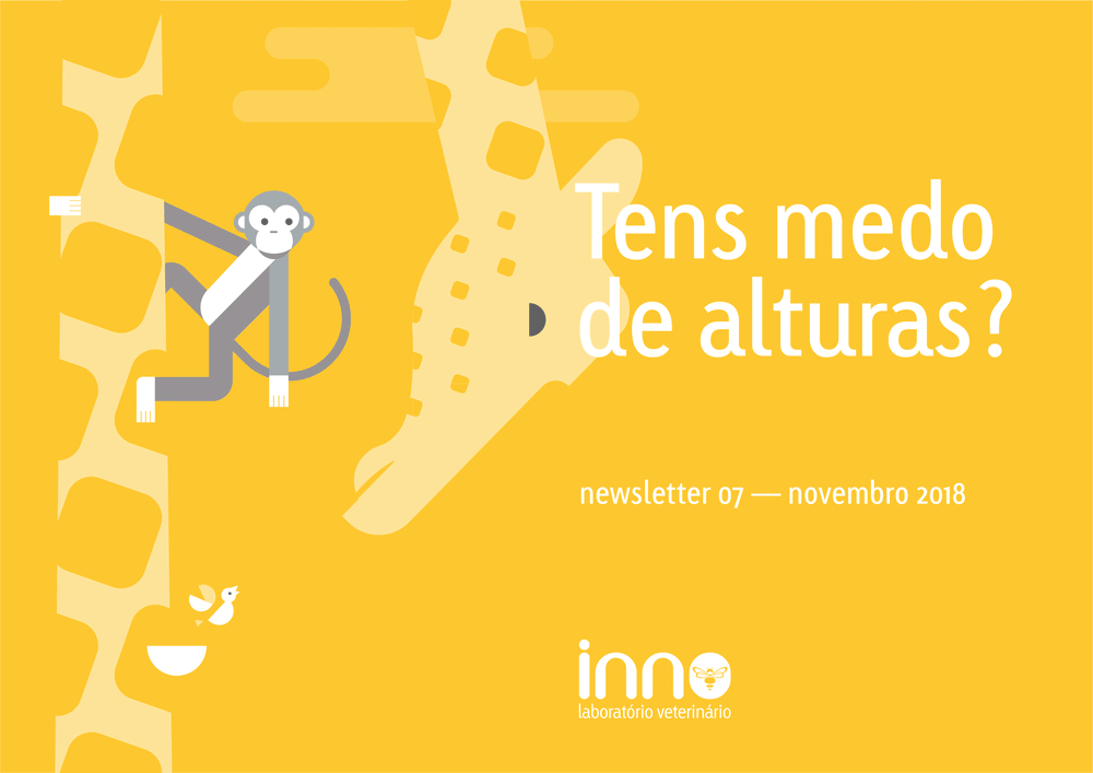 Inno_newsletter_header.gif