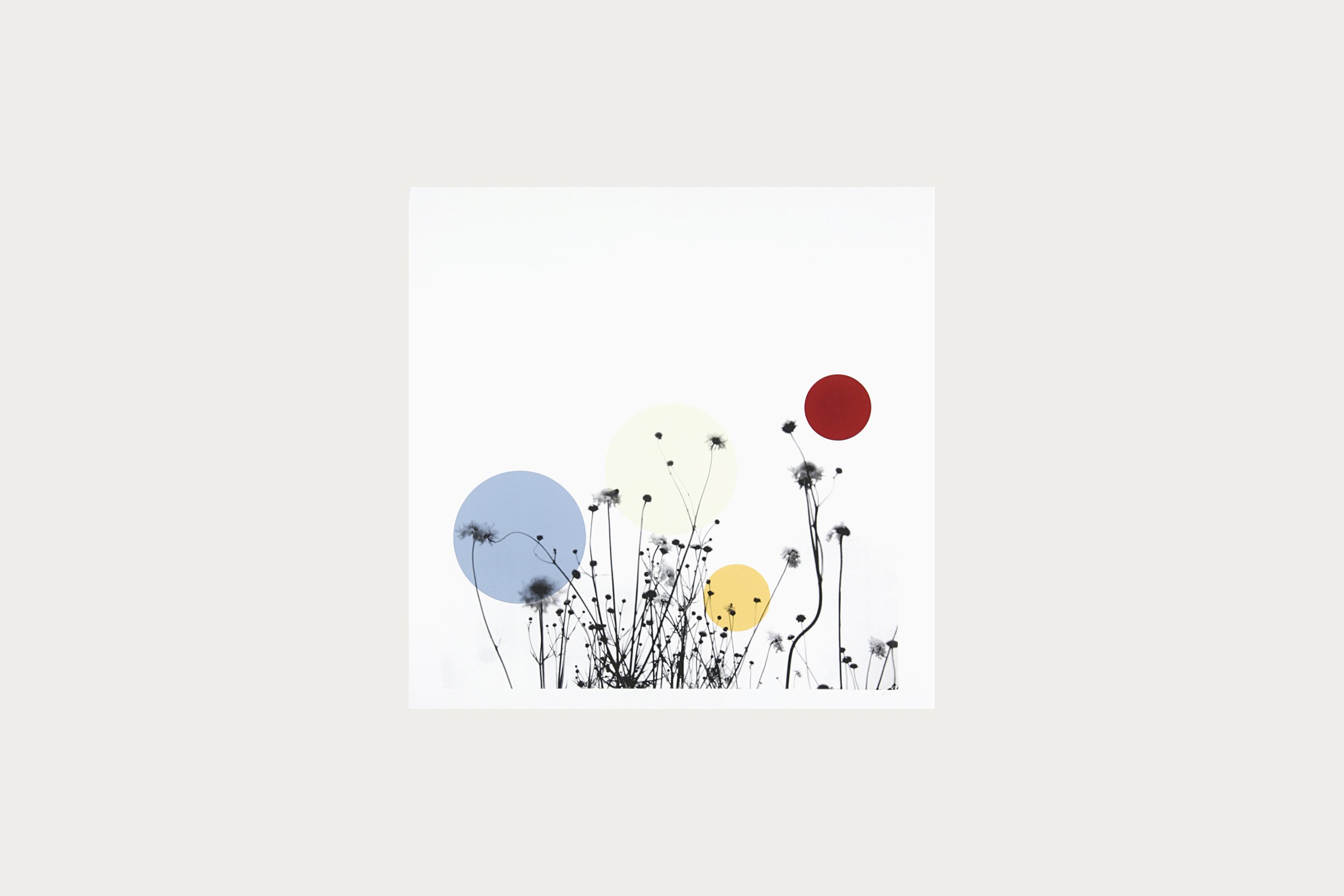 The Colours Of That Song You Sang - 70cm x 70cm