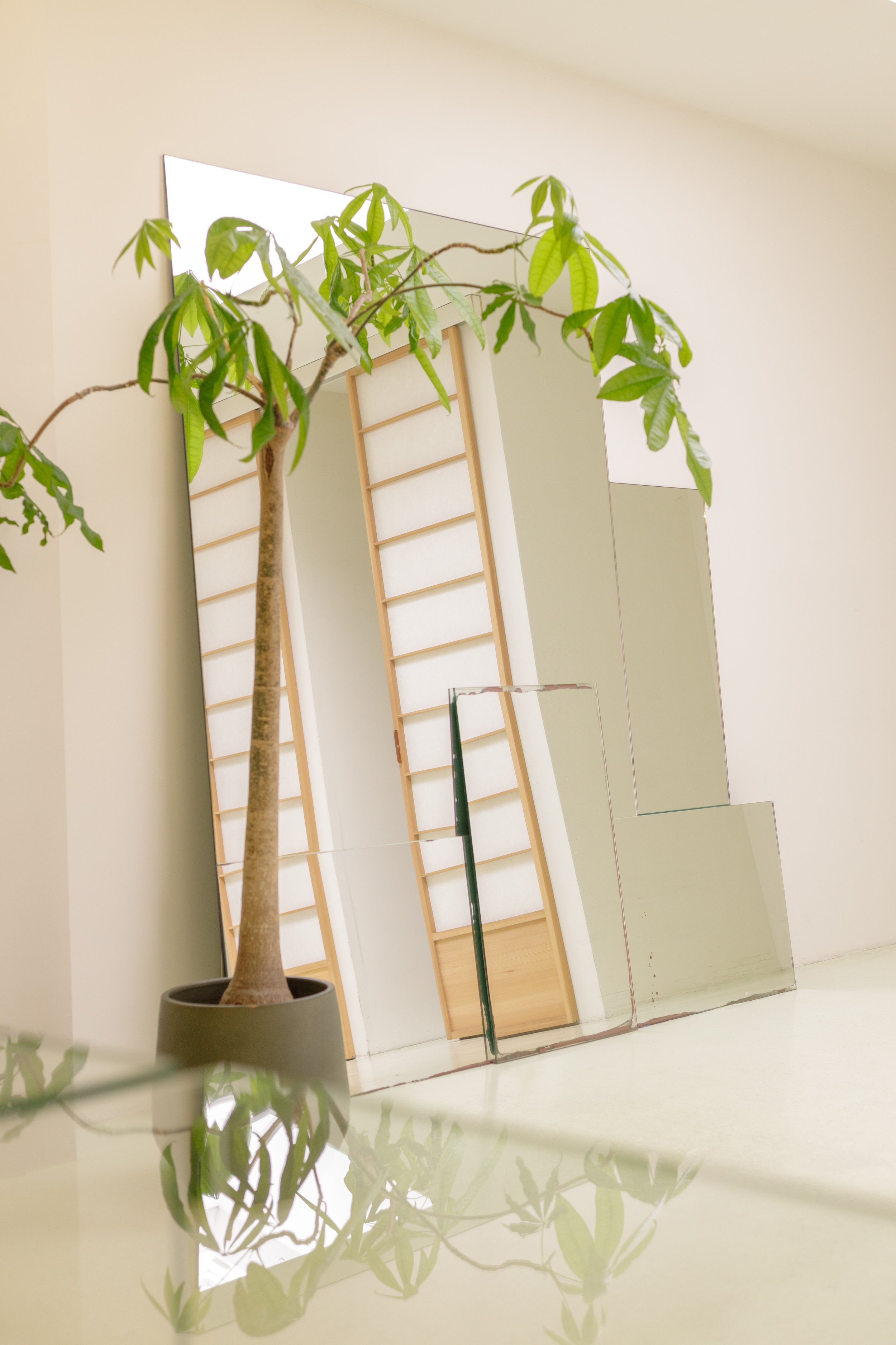 Moise Store Photo.jpg