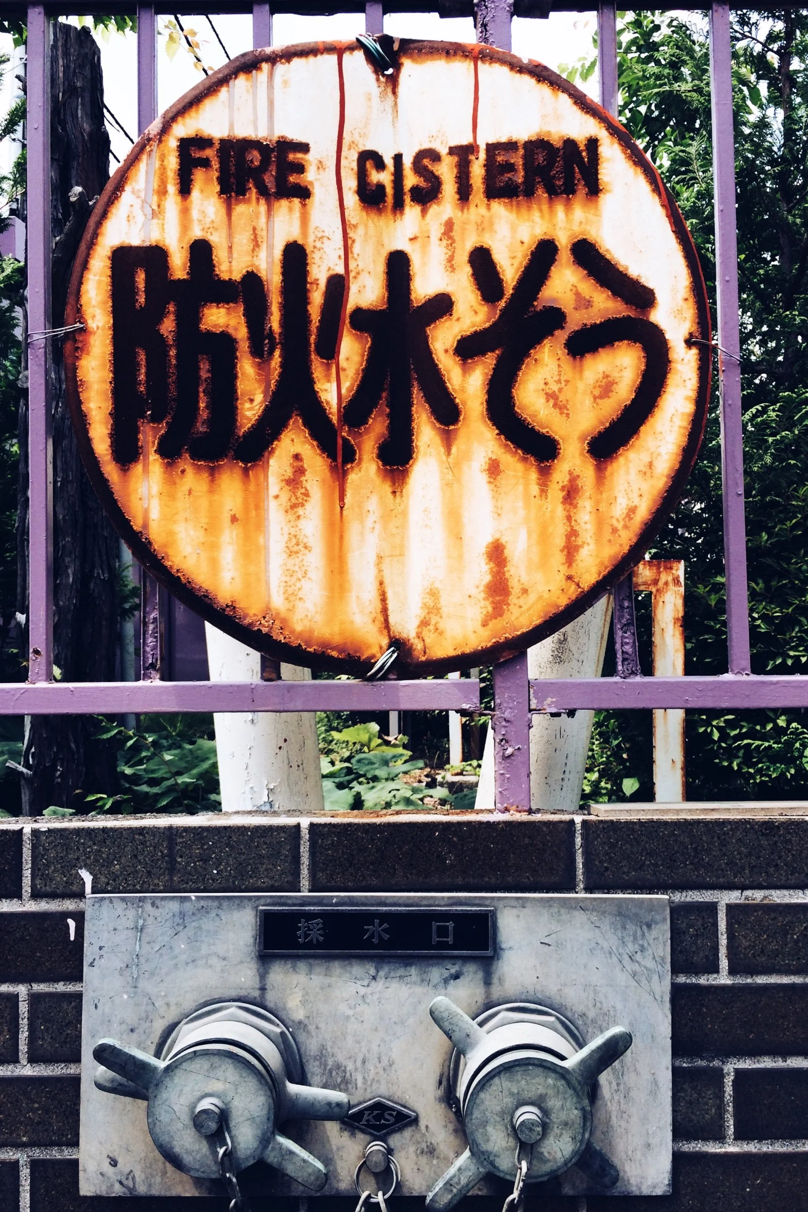 IMG_0667.jpeg