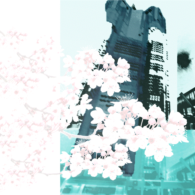 Tocho with Sakura.gif