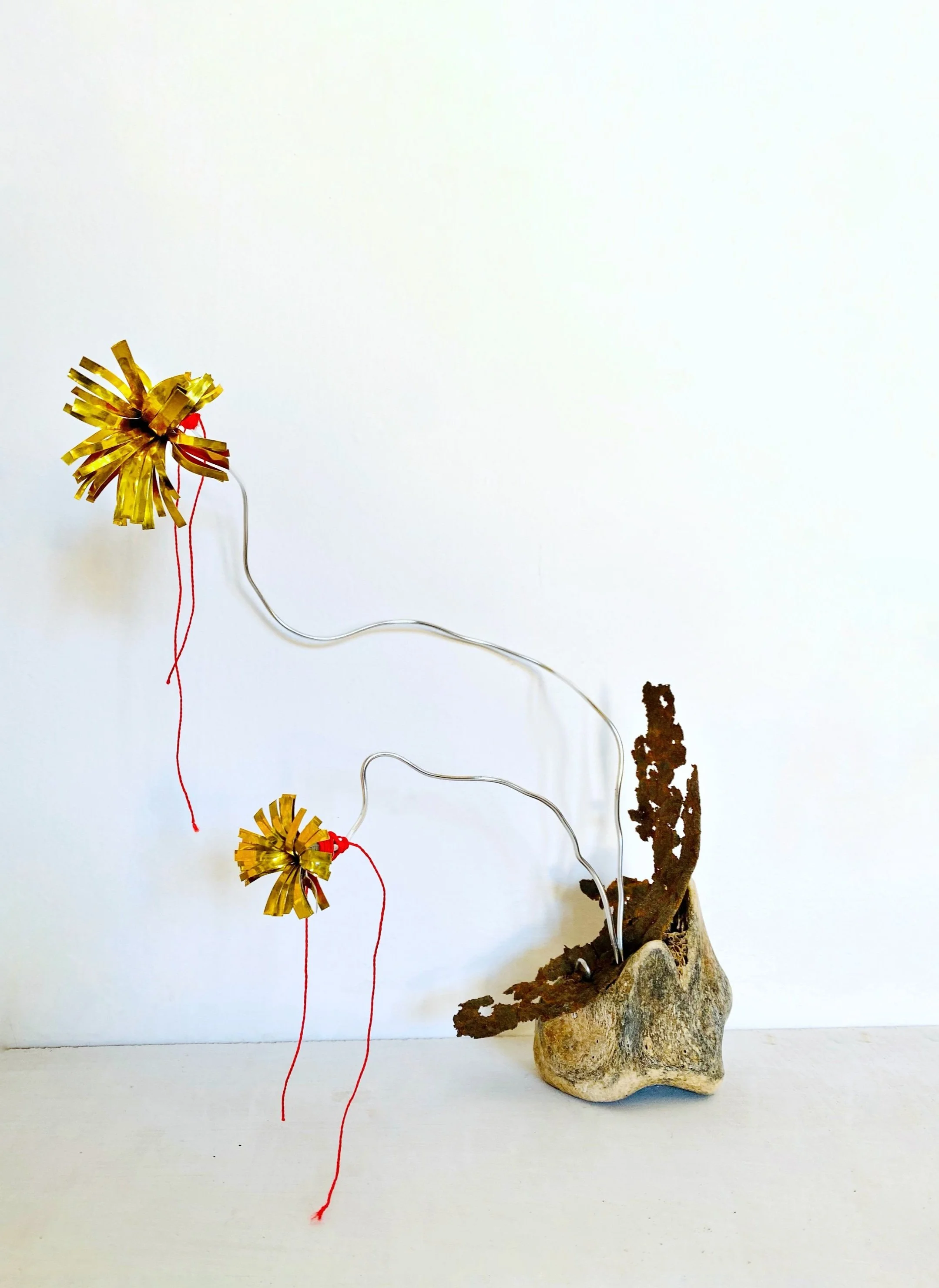 FullSizeRender copy 2.jpg