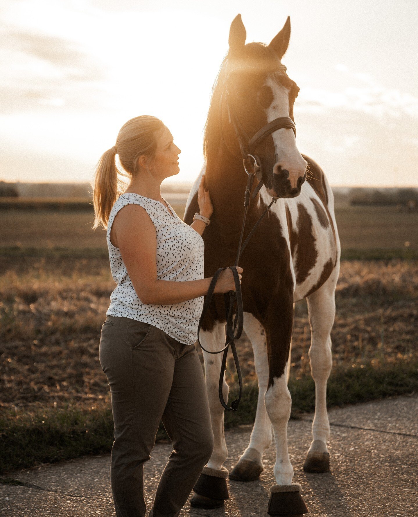 Manchmal werden aus &quot;Mach noch mal schnell nur ein Foto&quot; die besten Arbeiten. Ein spontaner Moment im Sonnenuntergang, ⁠bringt uns diese wundervolle Aufnahme.⁠
⁠
⁠
⁠
#pferdfotografie⁠
#fotoshooting⁠
#sommer⁠
#portrait⁠
#r&uuml;sselsheim⁠
#t