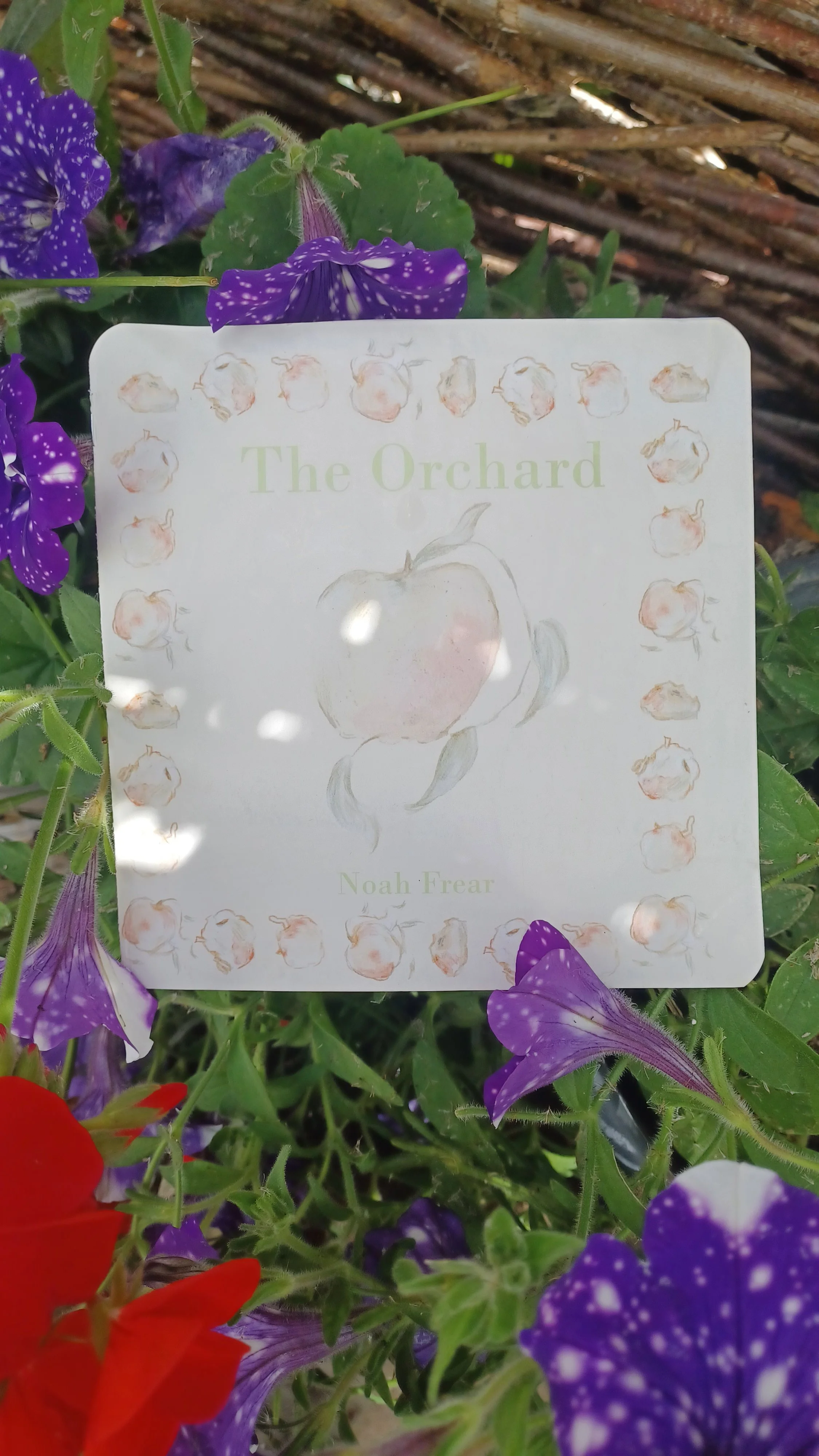 The Apple Orchard Zine + free print!