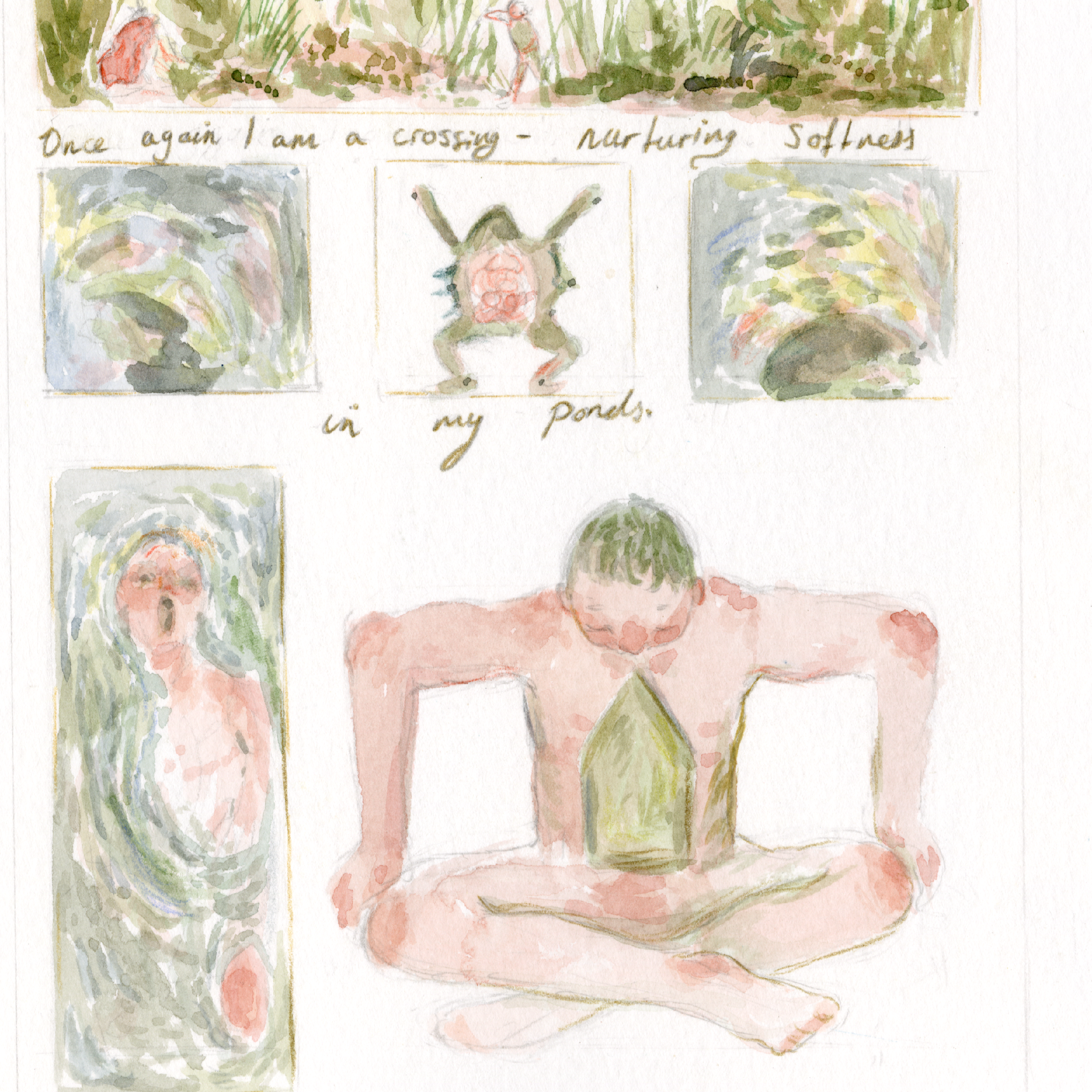 To Catch a Landed Gull