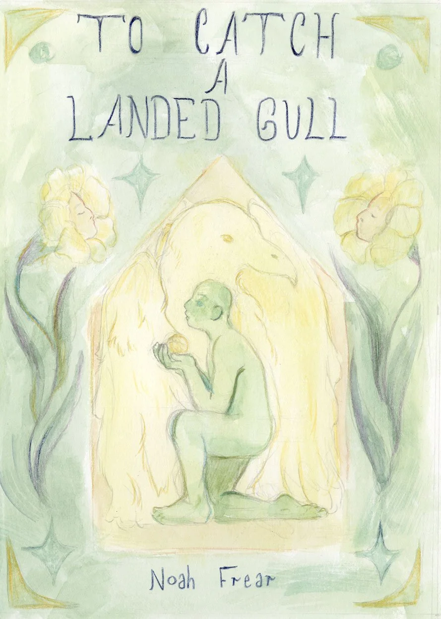 To Catch A Landed Gull - Graphic Novel