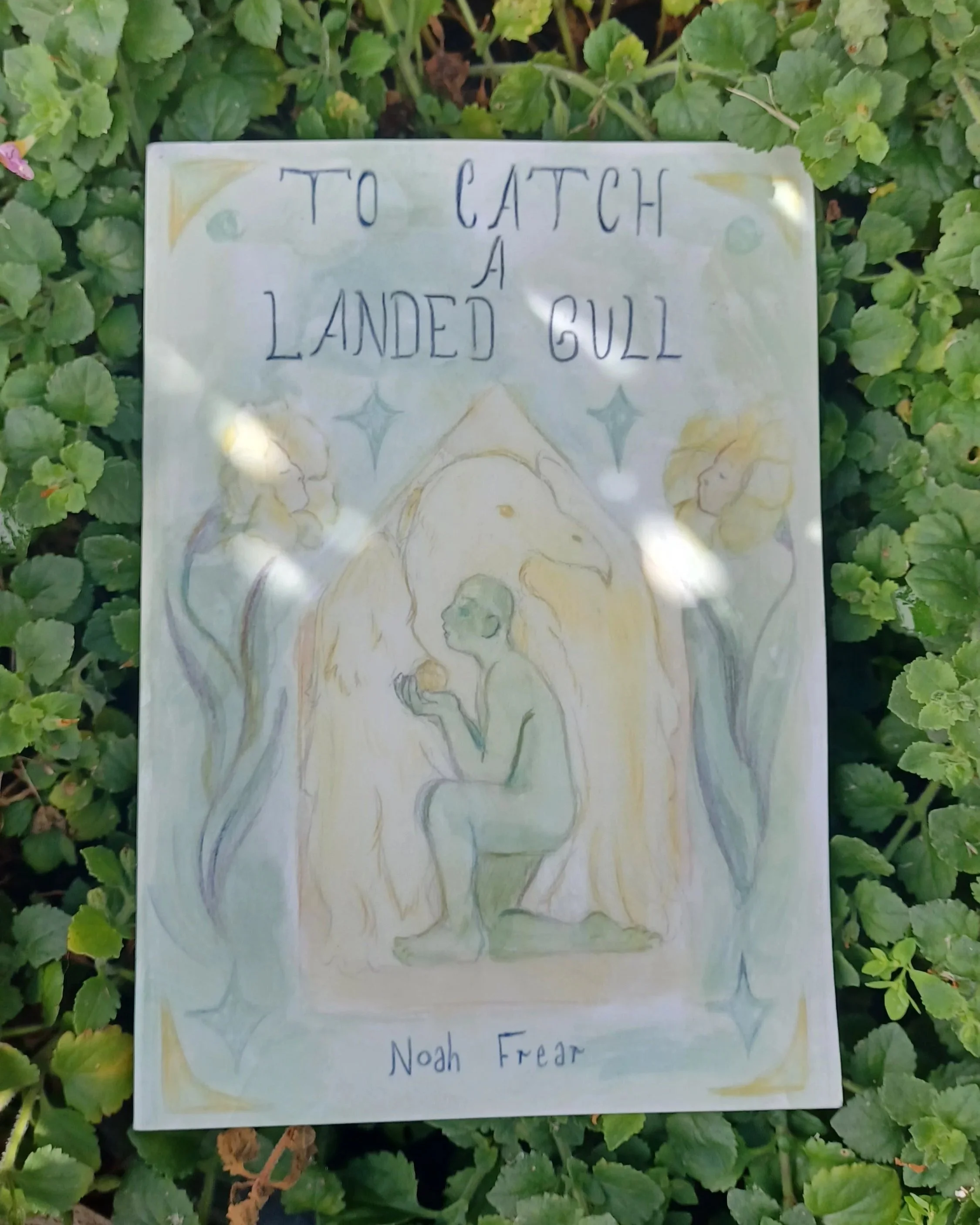 To Catch A Landed Gull - Graphic Novel