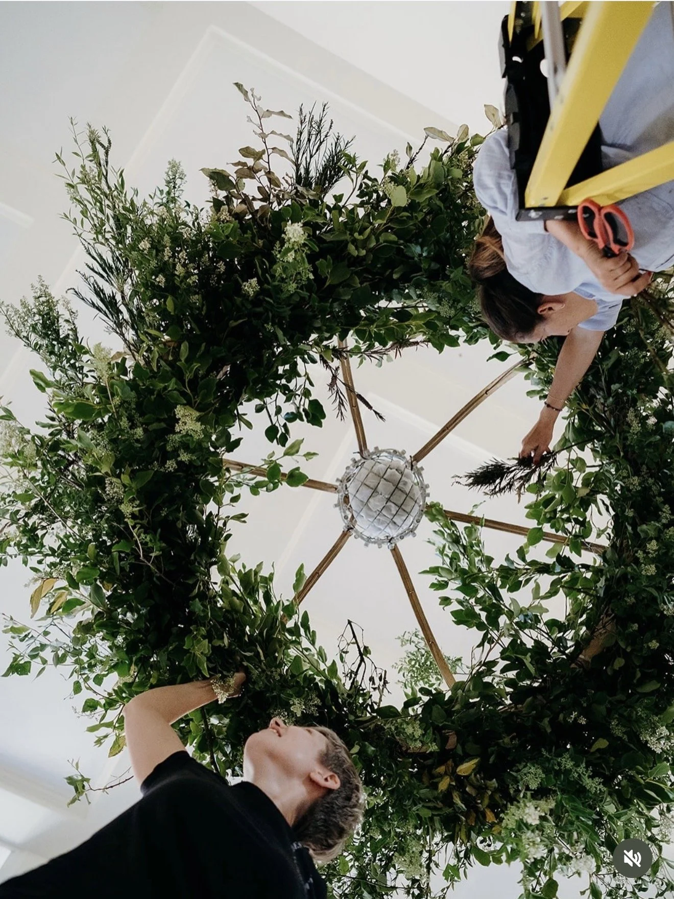 Don’t Overlook the Foliage: The Secret to Beautiful Wedding Flowers.