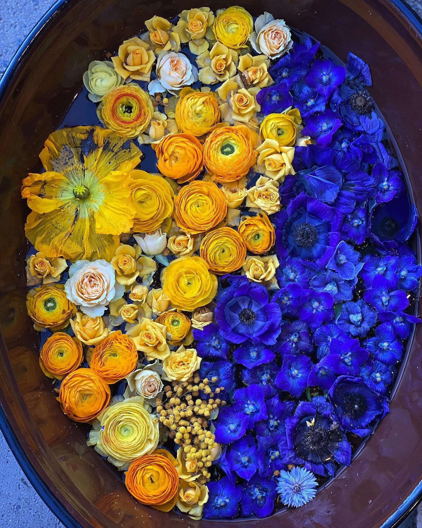 Pretty as a picture