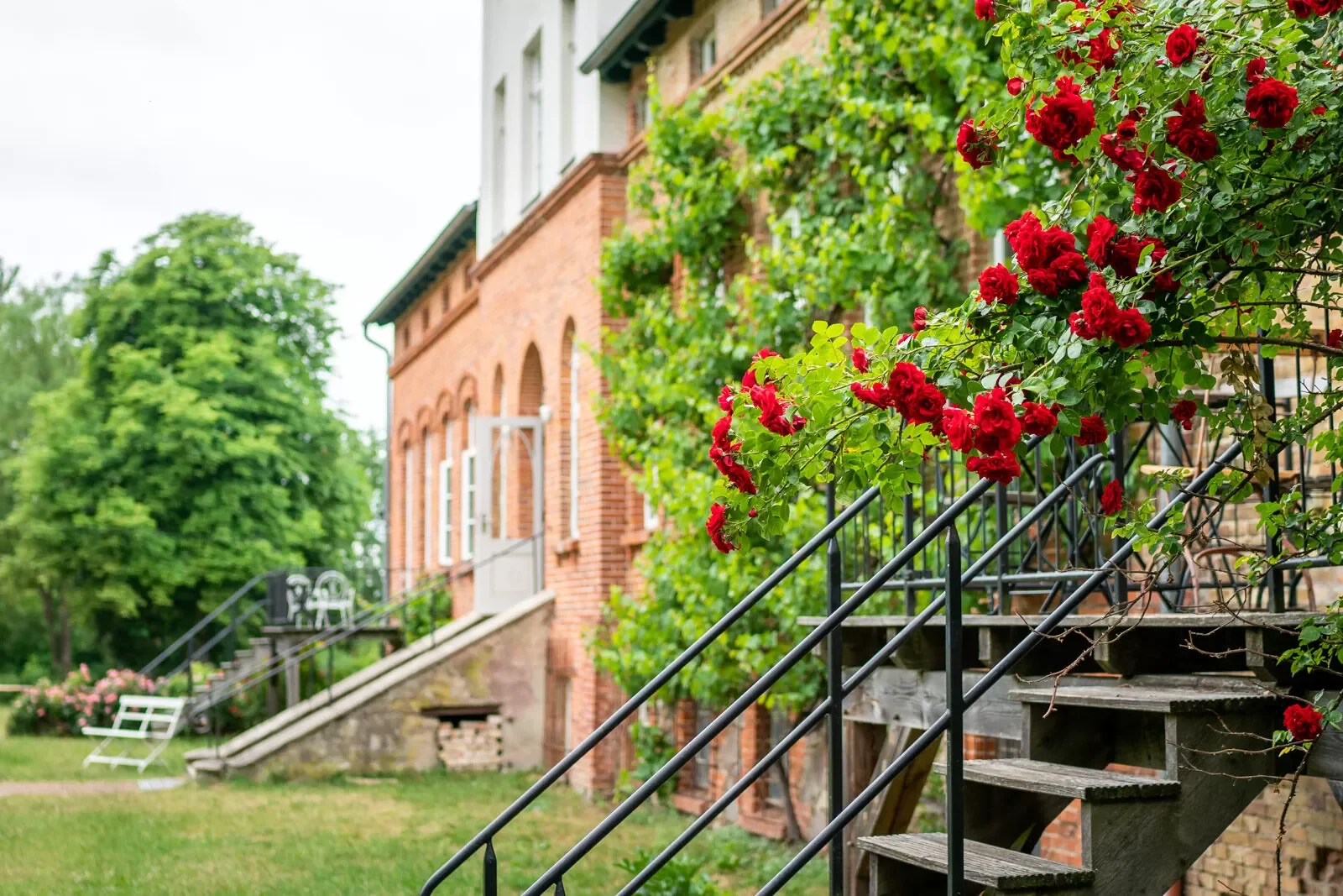 Retreat Venue Gut Pohnstorf, Germany.webp