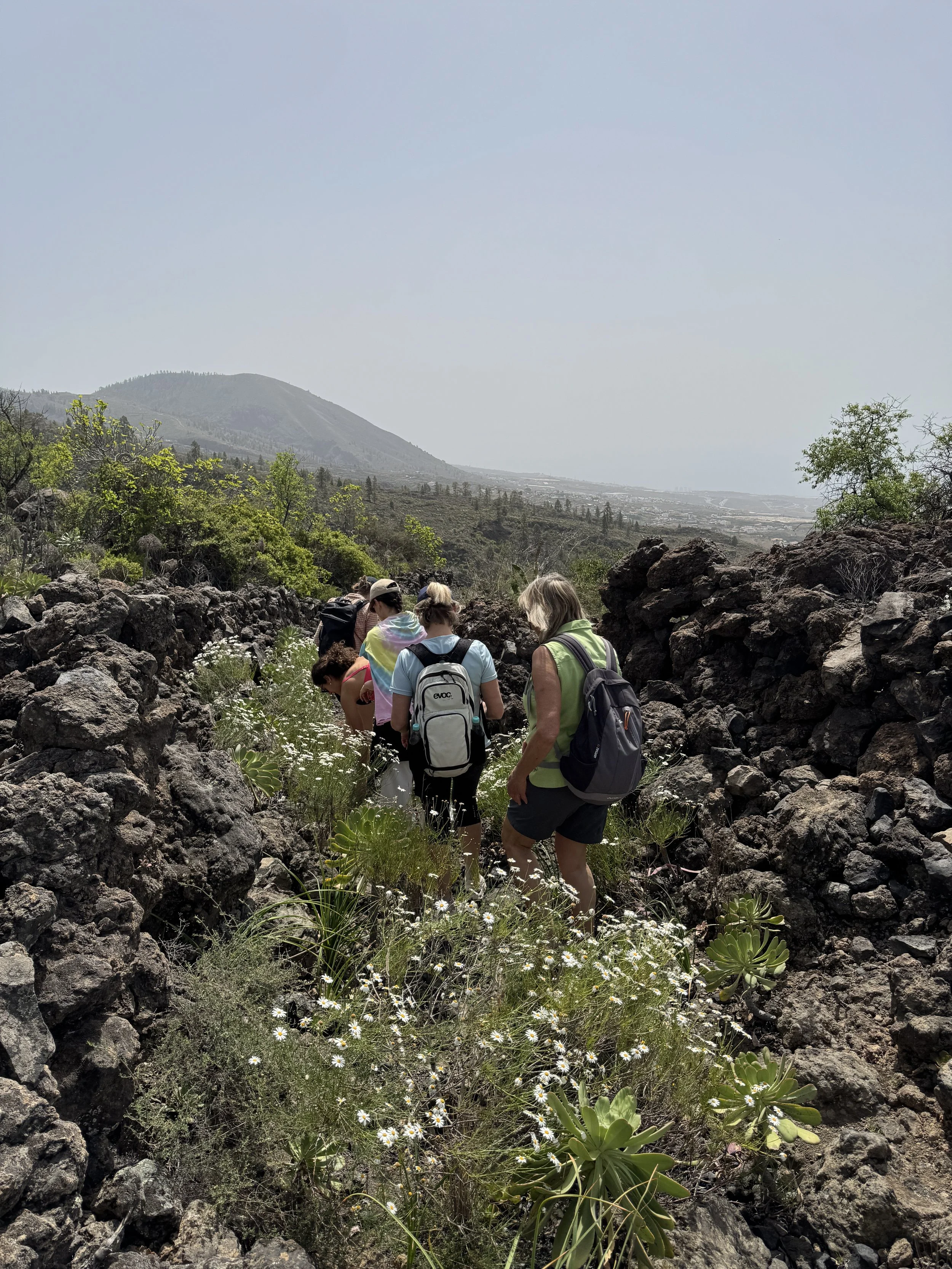 Nature - Hiking.jpg