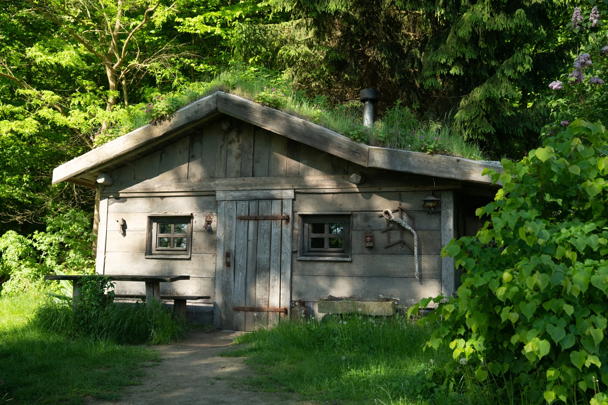 cabin nature retreat yoga.jpg