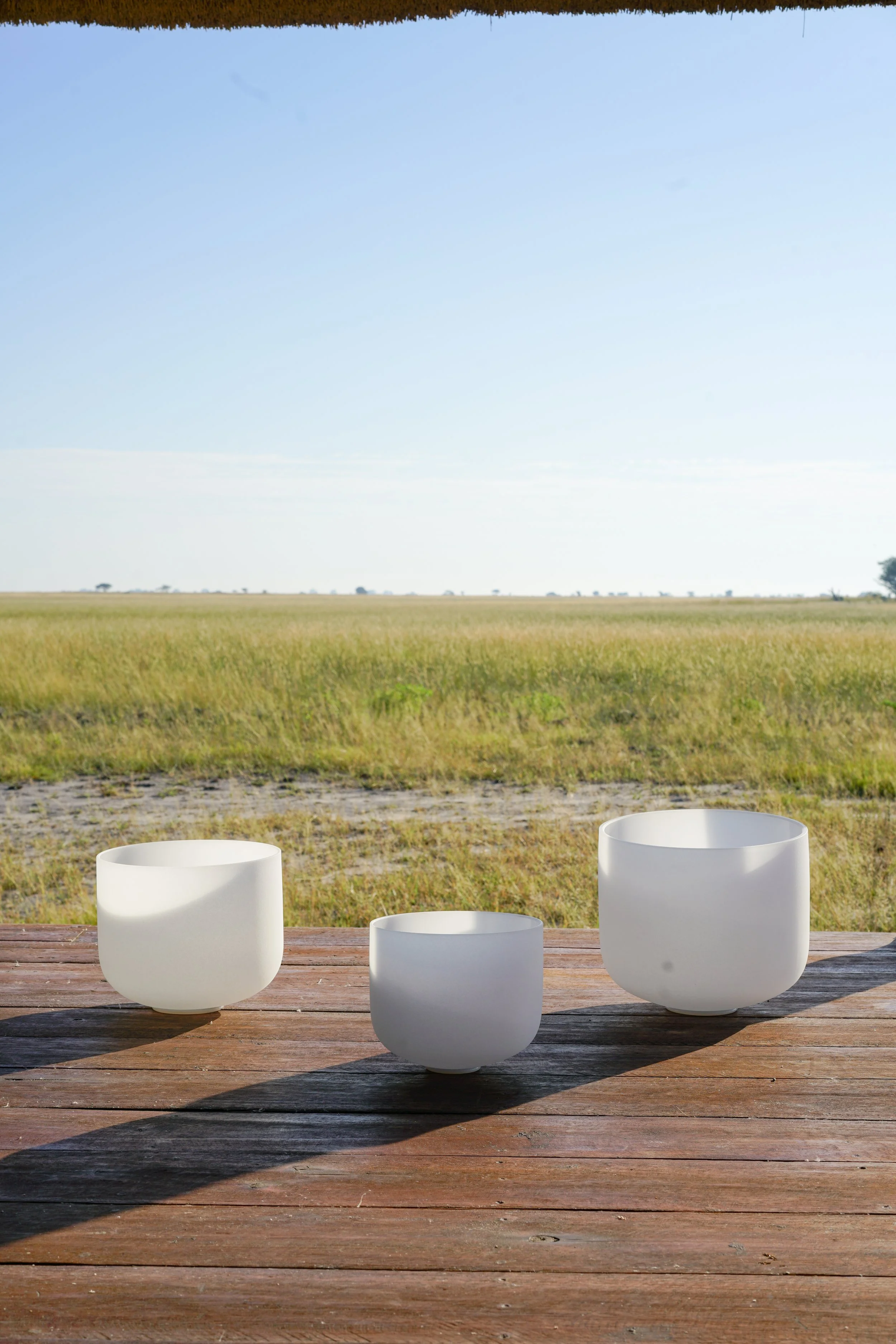 safari yoga retreat.jpg