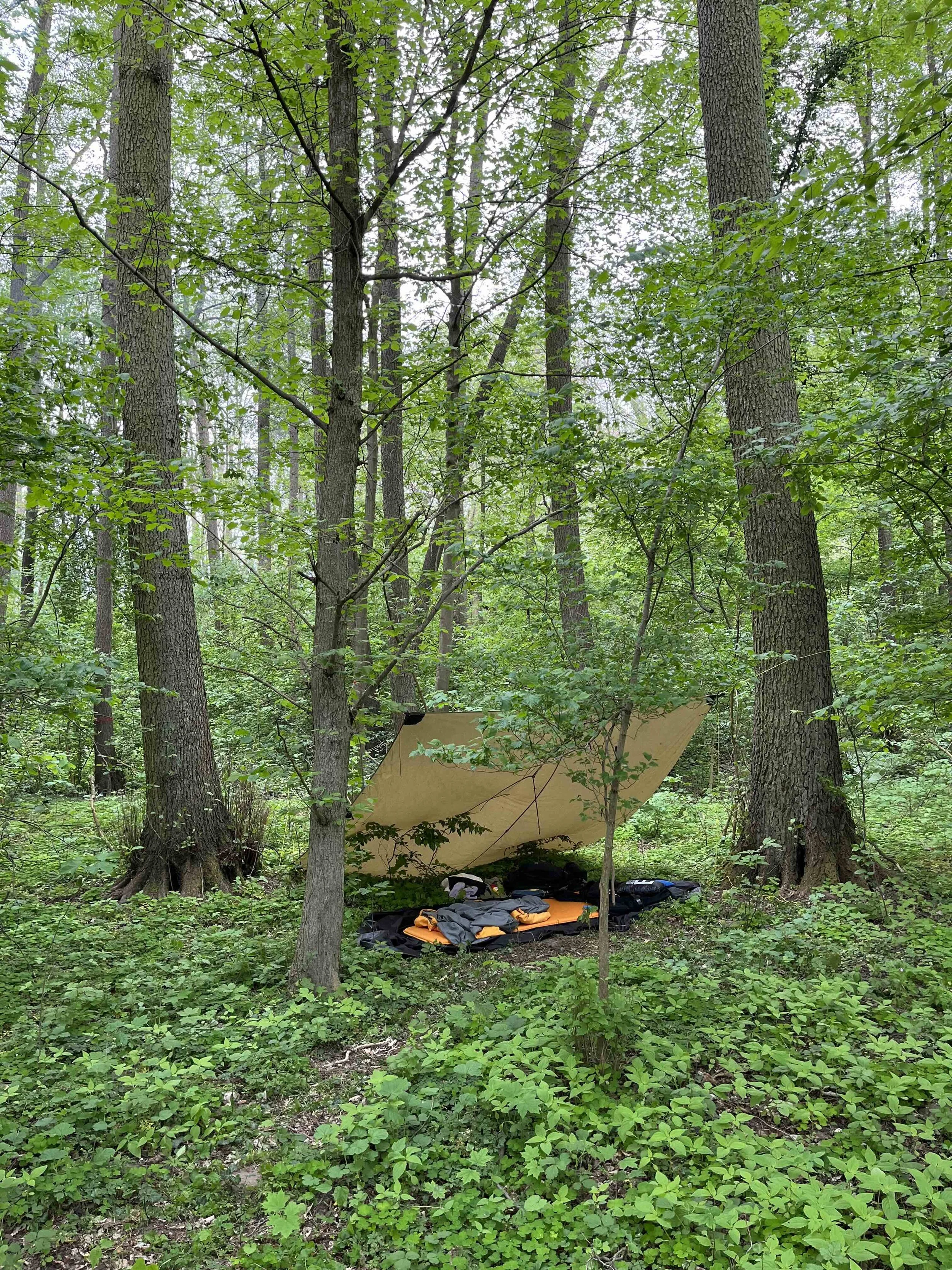 yoga retreat at the forest.jpeg