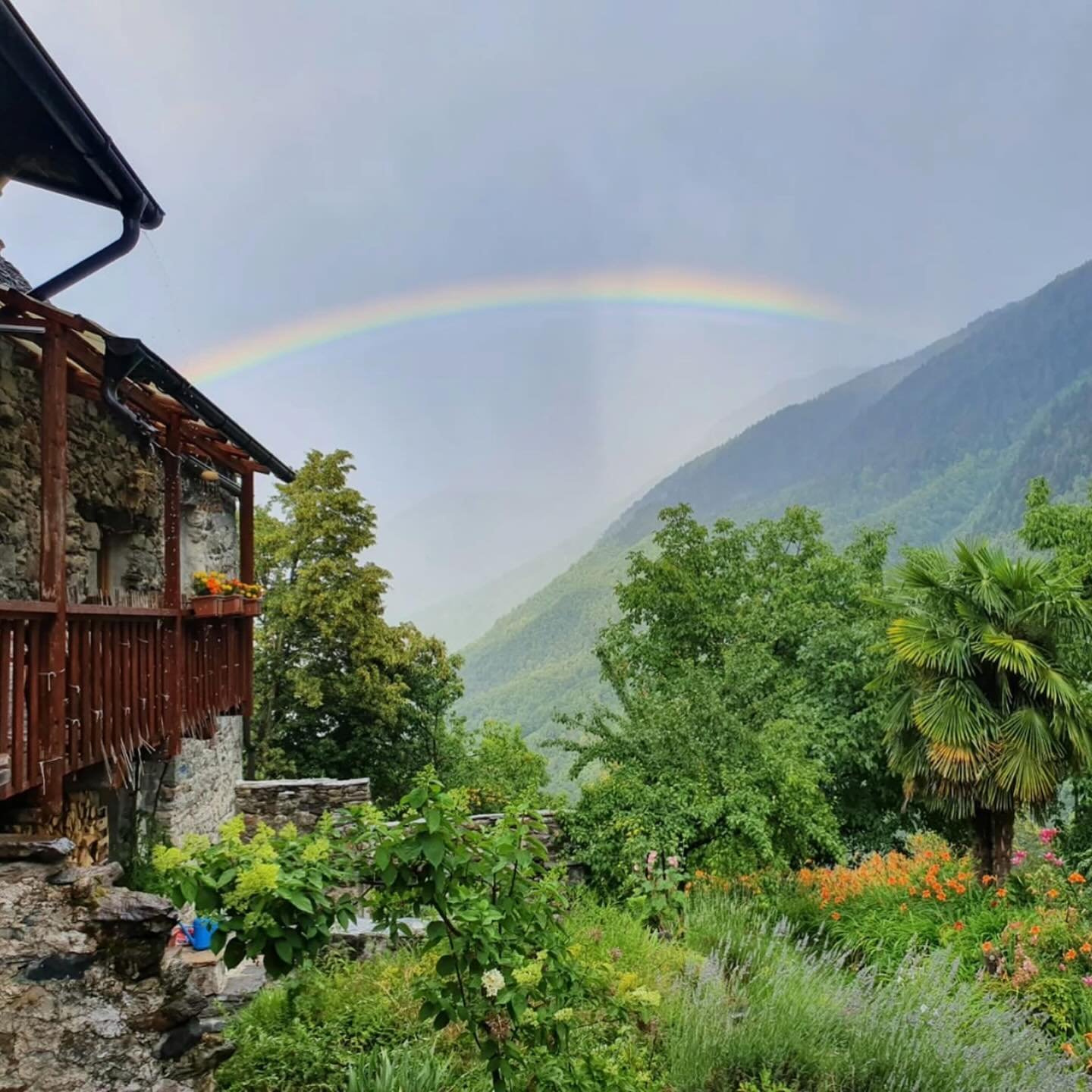 Cacao Medicine Cicle Italy 🌼✨

This May, Serap Kara @cacaomama has curated a special journey for all those wishing to deepen their connection to Cacao&rsquo;s ancient wisdom and create or refine a ceremonial offering. 

Join Serap for this 7-day jou