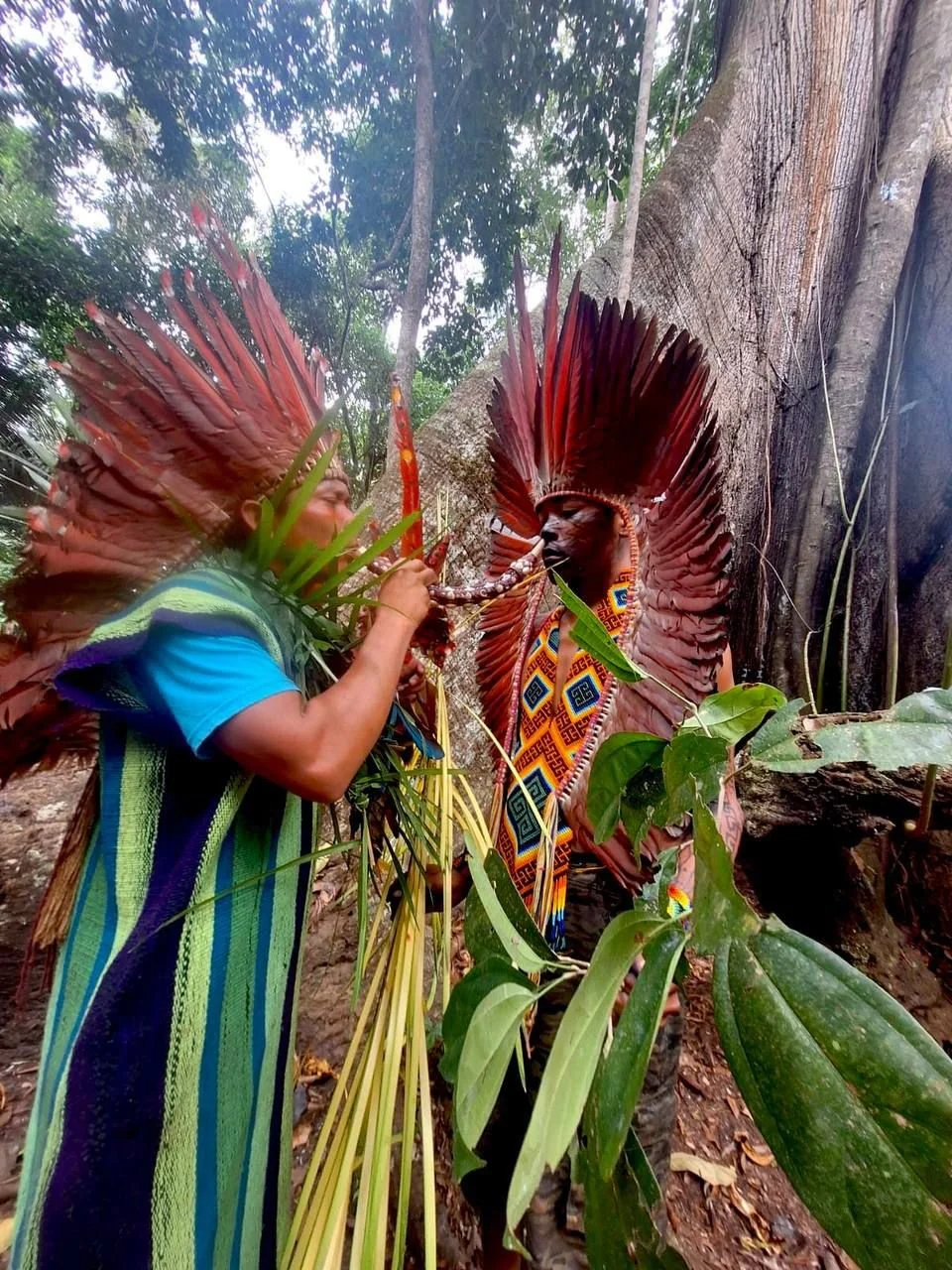 Indigenous Ancestral Medicine Immersion