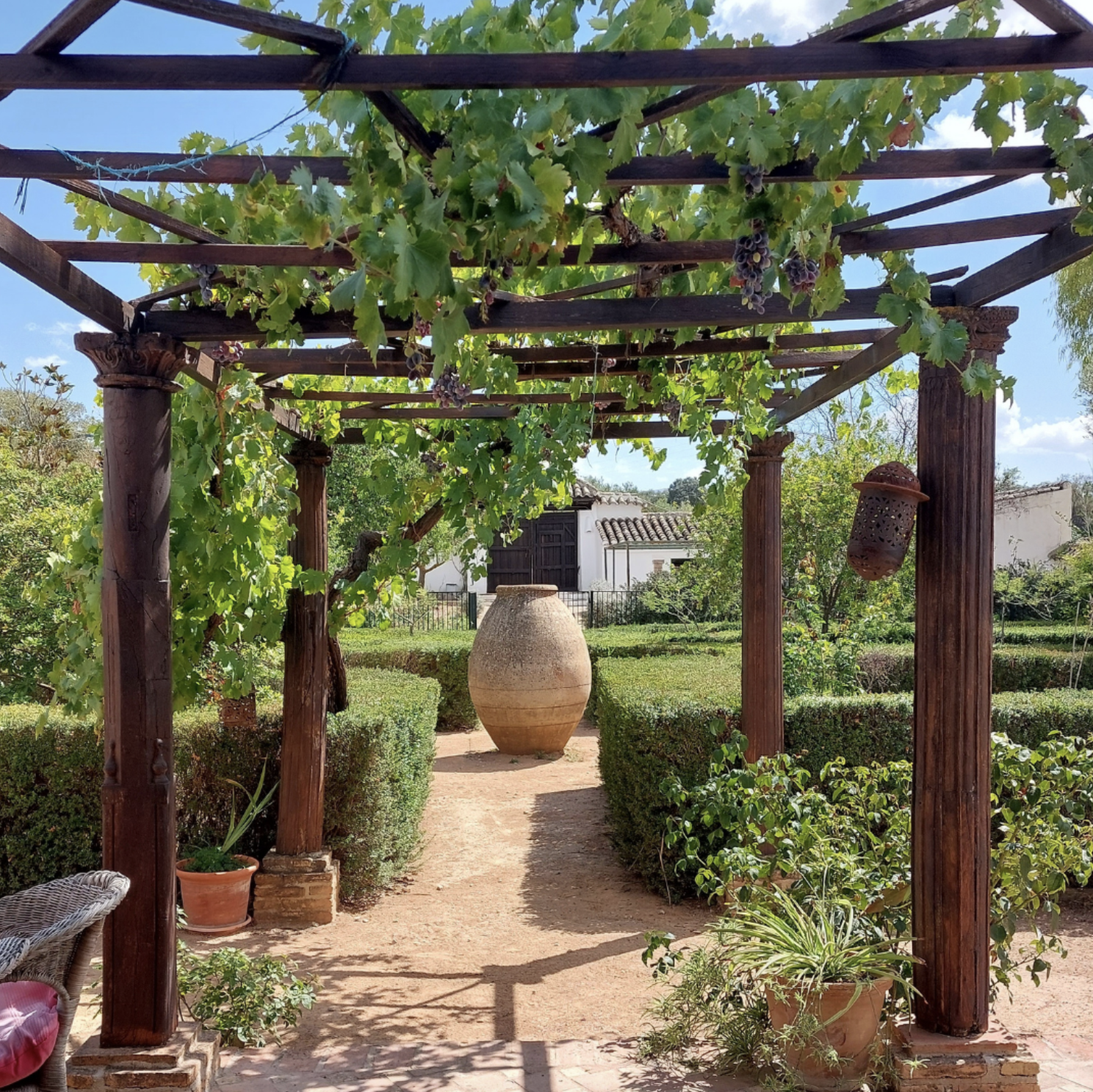 spain yoga retreat nature.png