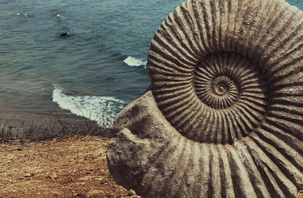 The Inner Compass: Navigating Life through Vāstu & Yoga