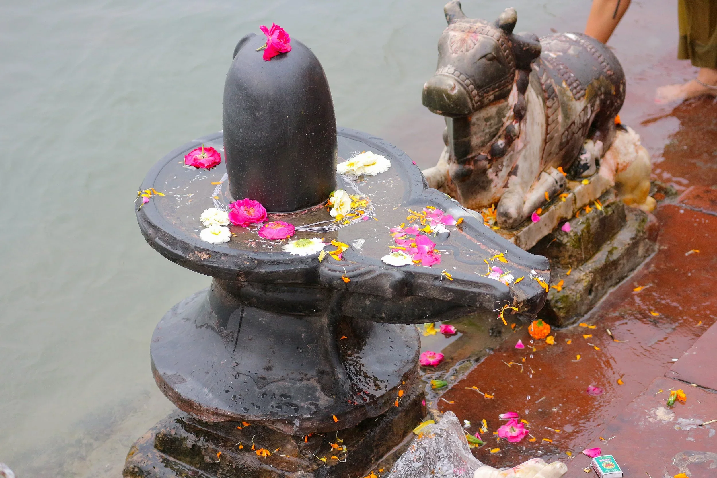 Living Tantra: Heart-opening - expand your capacity for love
