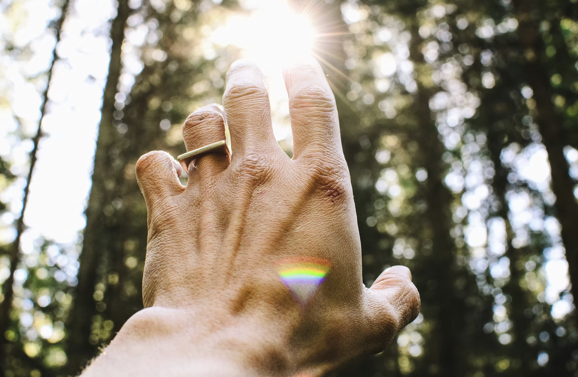 Manifest Your Month Workshop