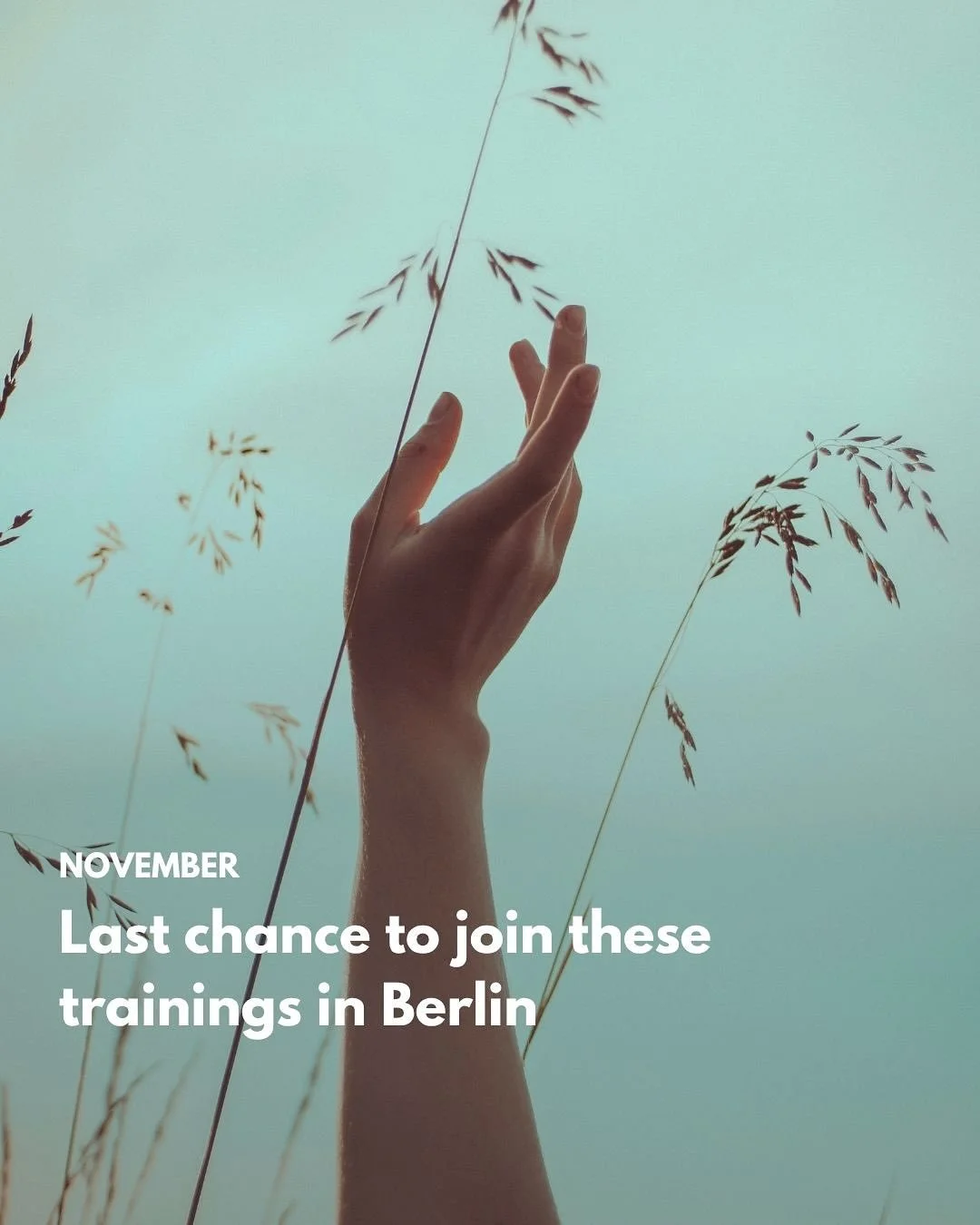 Last chance to join these trainings in Berlin 🌸

Don&rsquo;t overthink it, there&rsquo;s beautiful trainings starting in Berlin this month, if you&rsquo;re curious to dive deeper into one of these modalities, now&rsquo;s your chance! 

&rarr; 20hr R