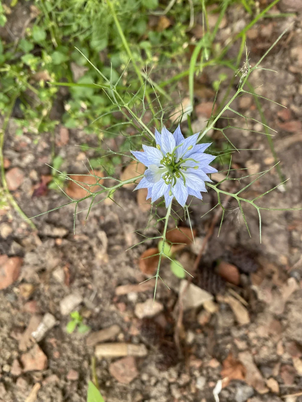 Finding Your Inner Compass: 6 Weeks Immersive Expressive Arts Group Journey