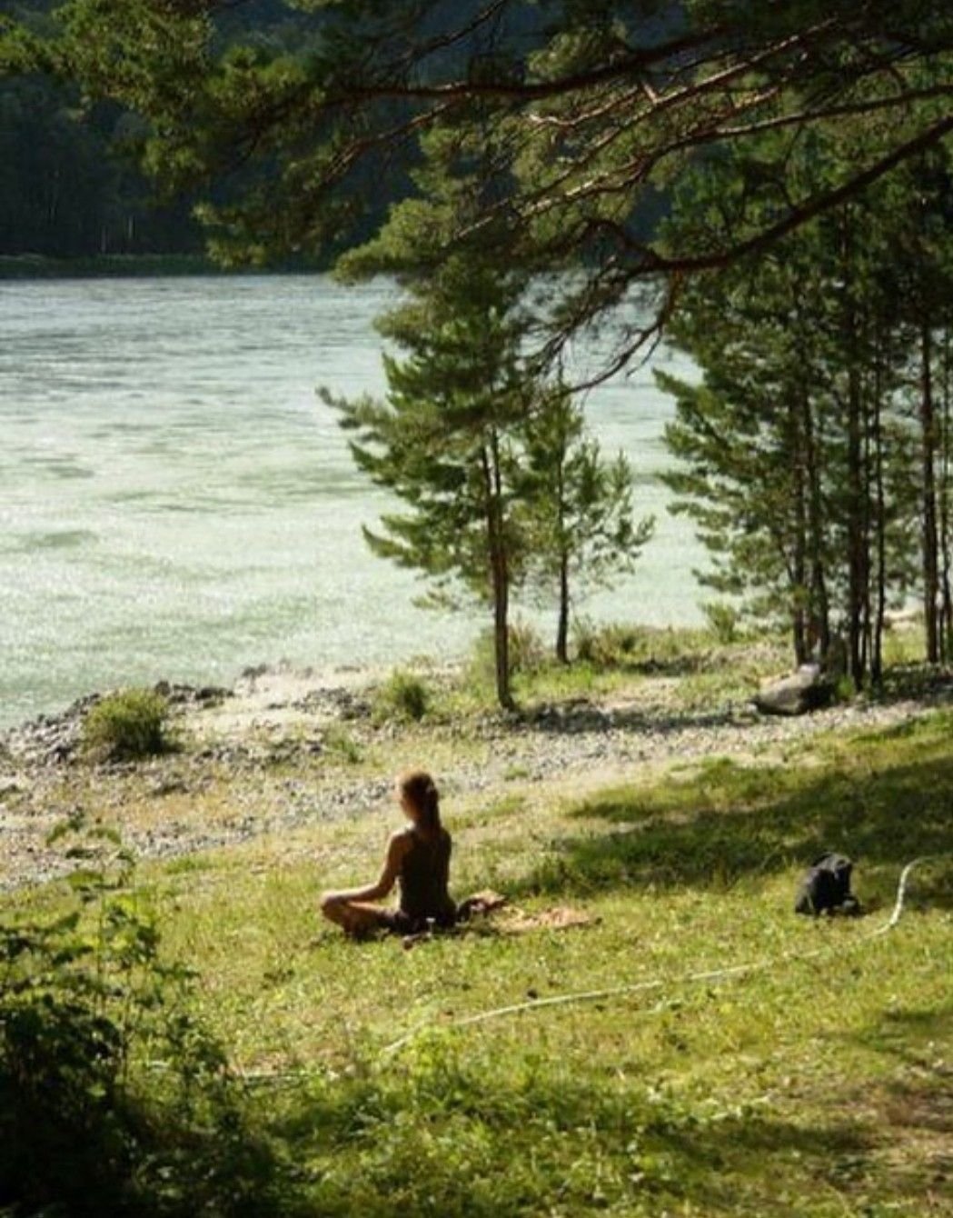 Sommer Solstice Forest Morning | Women's Circle & Cacao Ceremony