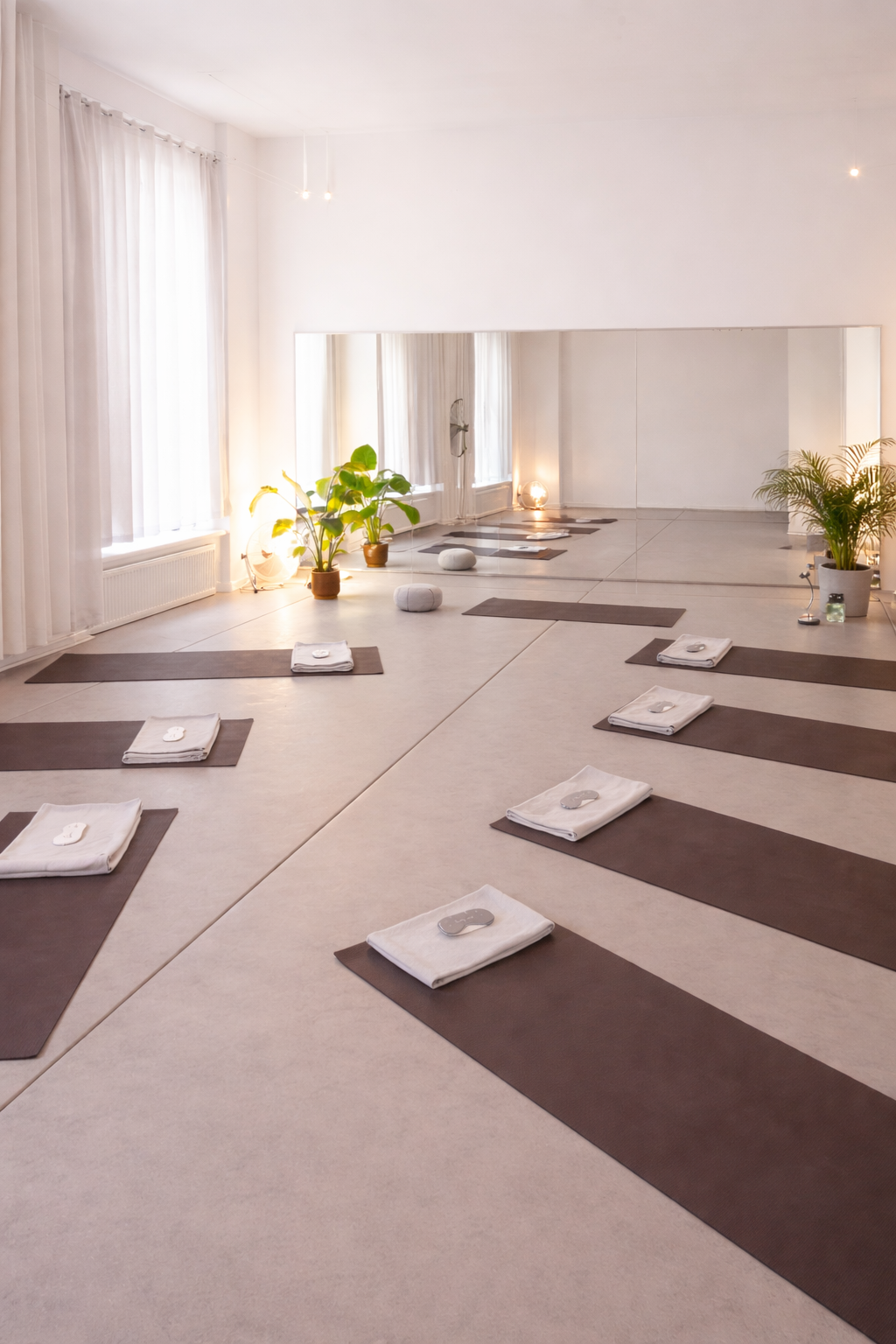 Rise & Regulate - A Women's Nervous System Reset