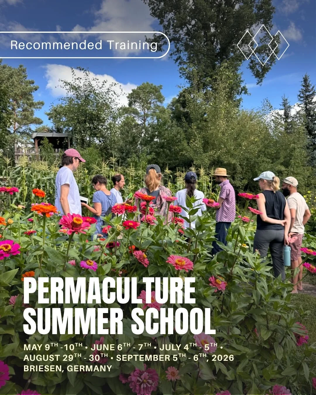 Imagine, as the days start to get warmer, spending your days fully immersed in nature at a local, regenerative, organic farm just outside of Berlin. Learning about permaculture, sleeping under the stars, and eating directly from the field.

Over 5 we