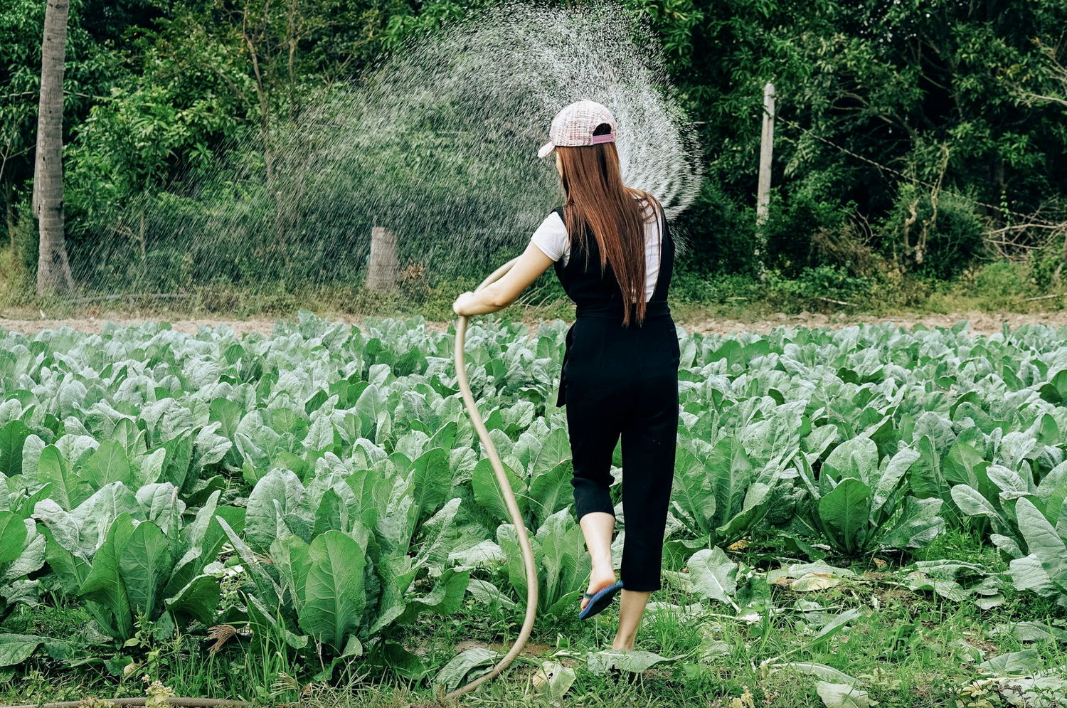 Permaculture Summer School Weekend Workshop