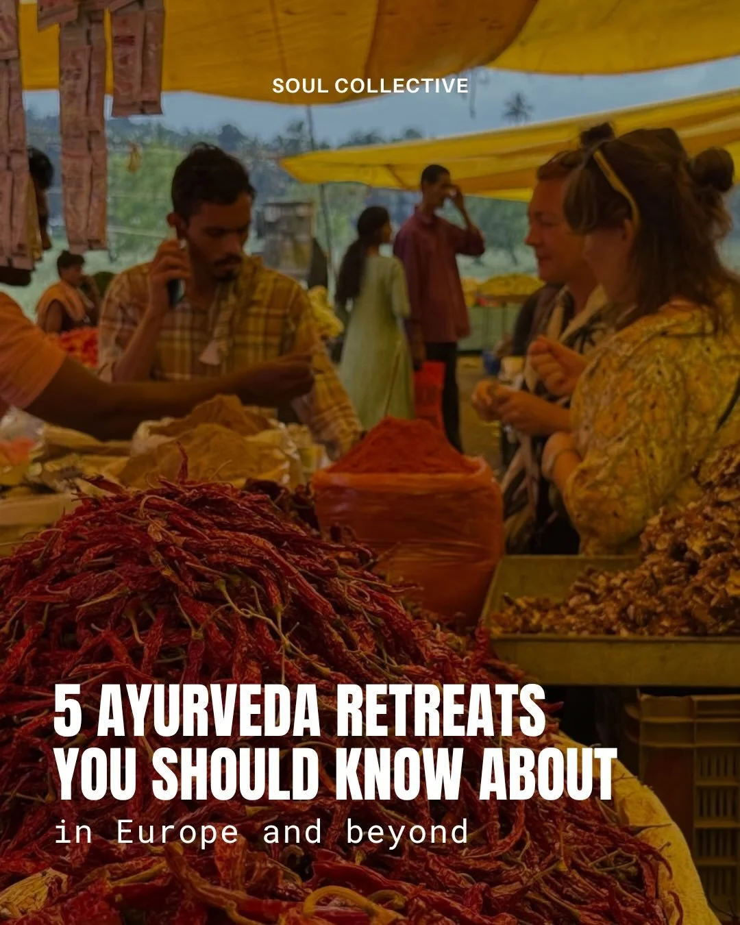 6 Ayurveda retreats you should know about 🍋

1️⃣&nbsp; Back to the Roots 2.0 Retreat in Portugal with @annegocht and @itsmelauragomez from May 27th to 31st in Ericeira, Portugal

2️⃣&nbsp;Yoga &amp; Ayurveda Retreat with @anni.glow.flow from @yogani