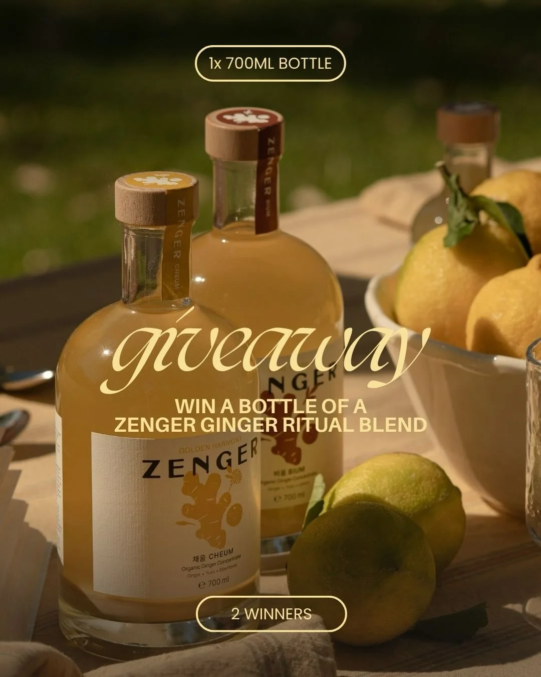 Soul Collective x Zenger Giveaway 💛

Whether you&rsquo;re creating refreshing summer mocktails or drinking it as a shot, Zenger&rsquo;s organic ginger concentrate supports your immunity, digestion, and natural energy.

This week, we partnered with @