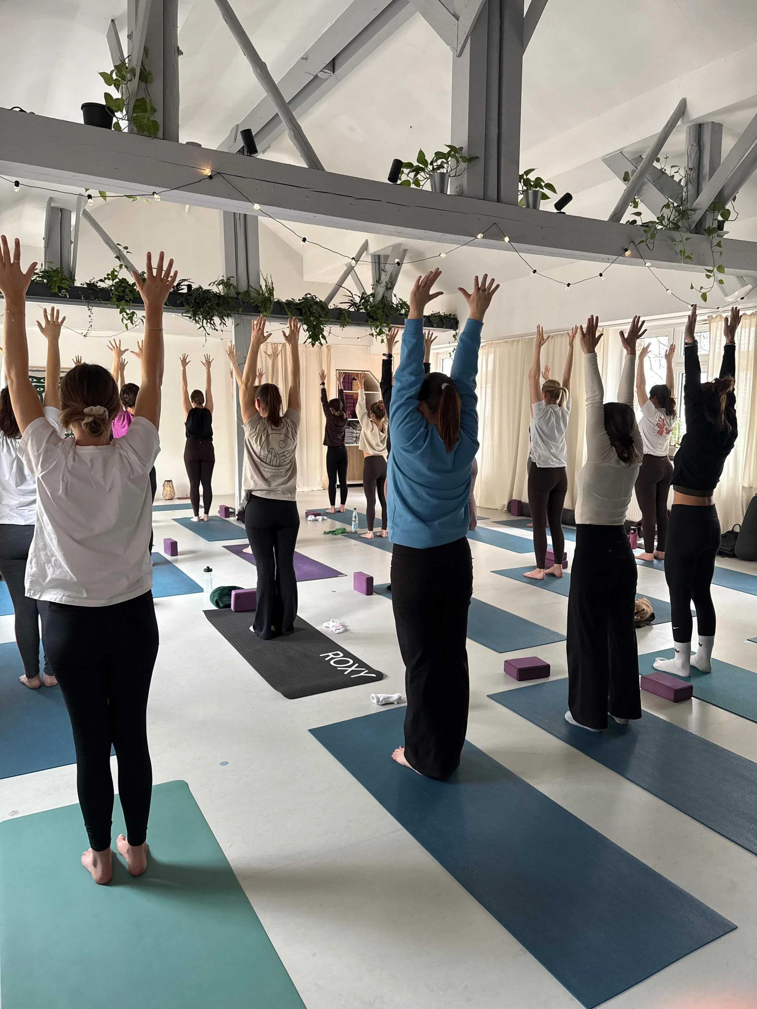 719068467_1715338973067830_7977572644122943950_n.jpg