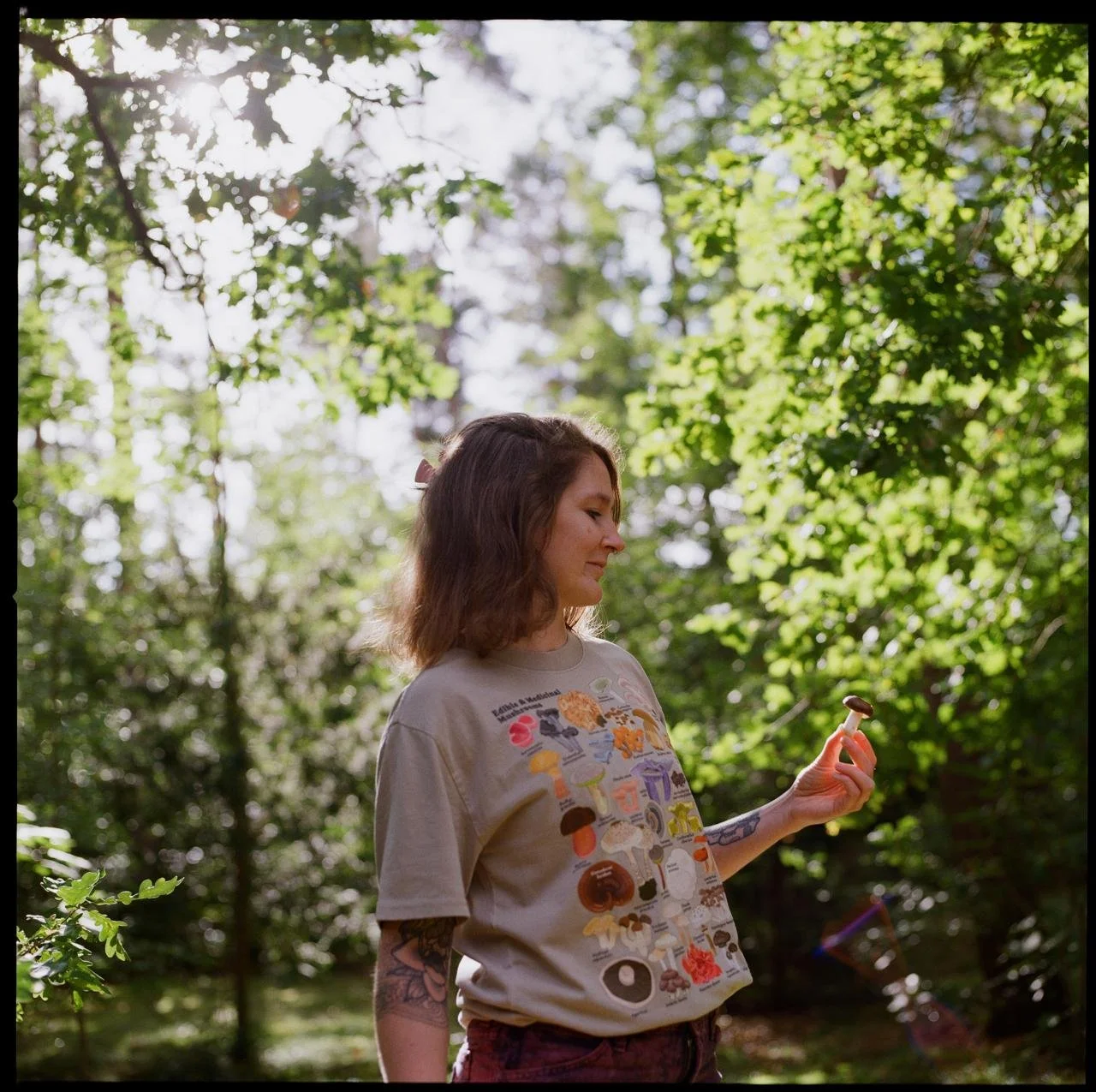 Mushroom Meditations: A guided journey.jpeg