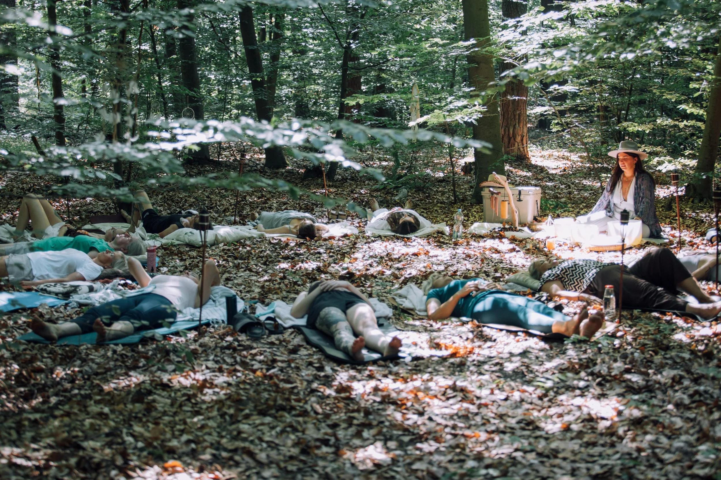 forest bathing experience wild retreat brandenburg.jpeg