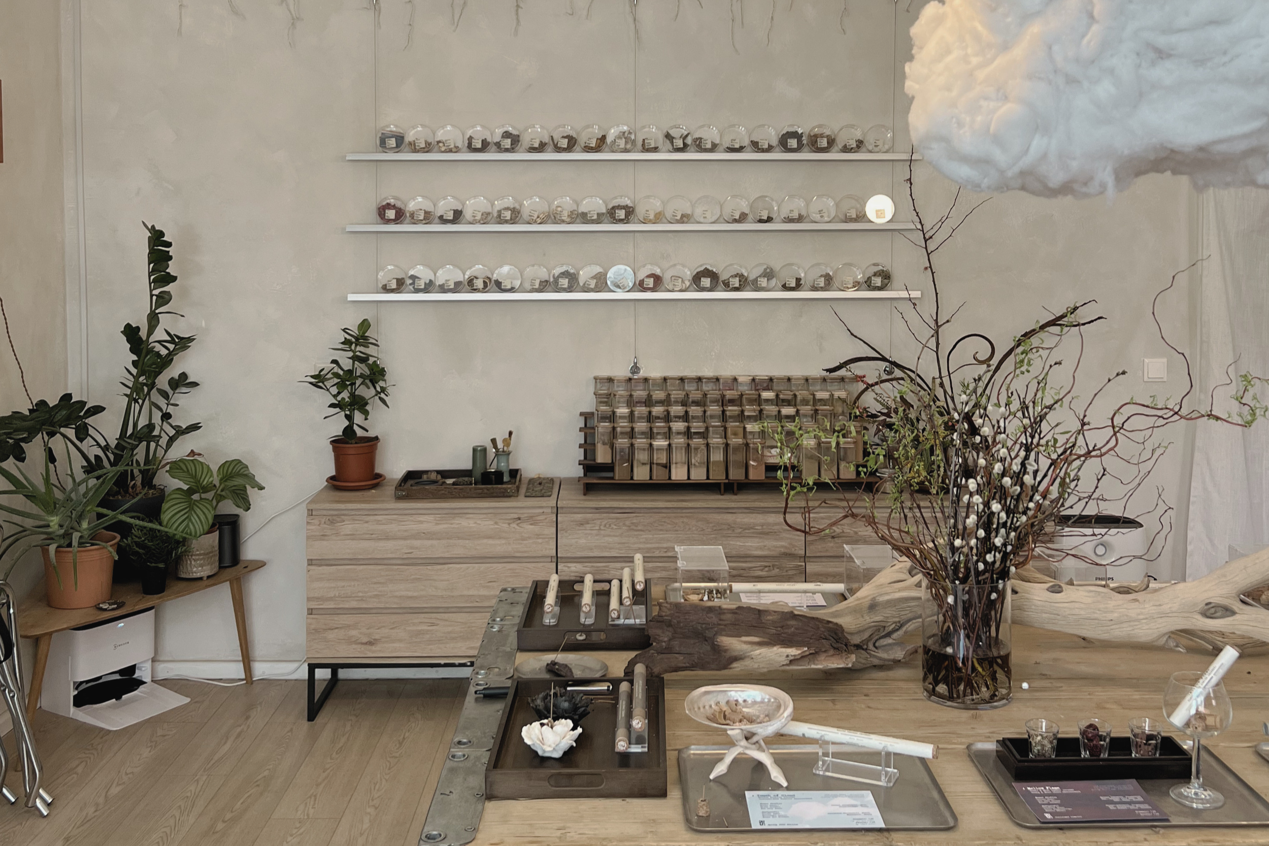 Senlë Studio Autumn Launch 