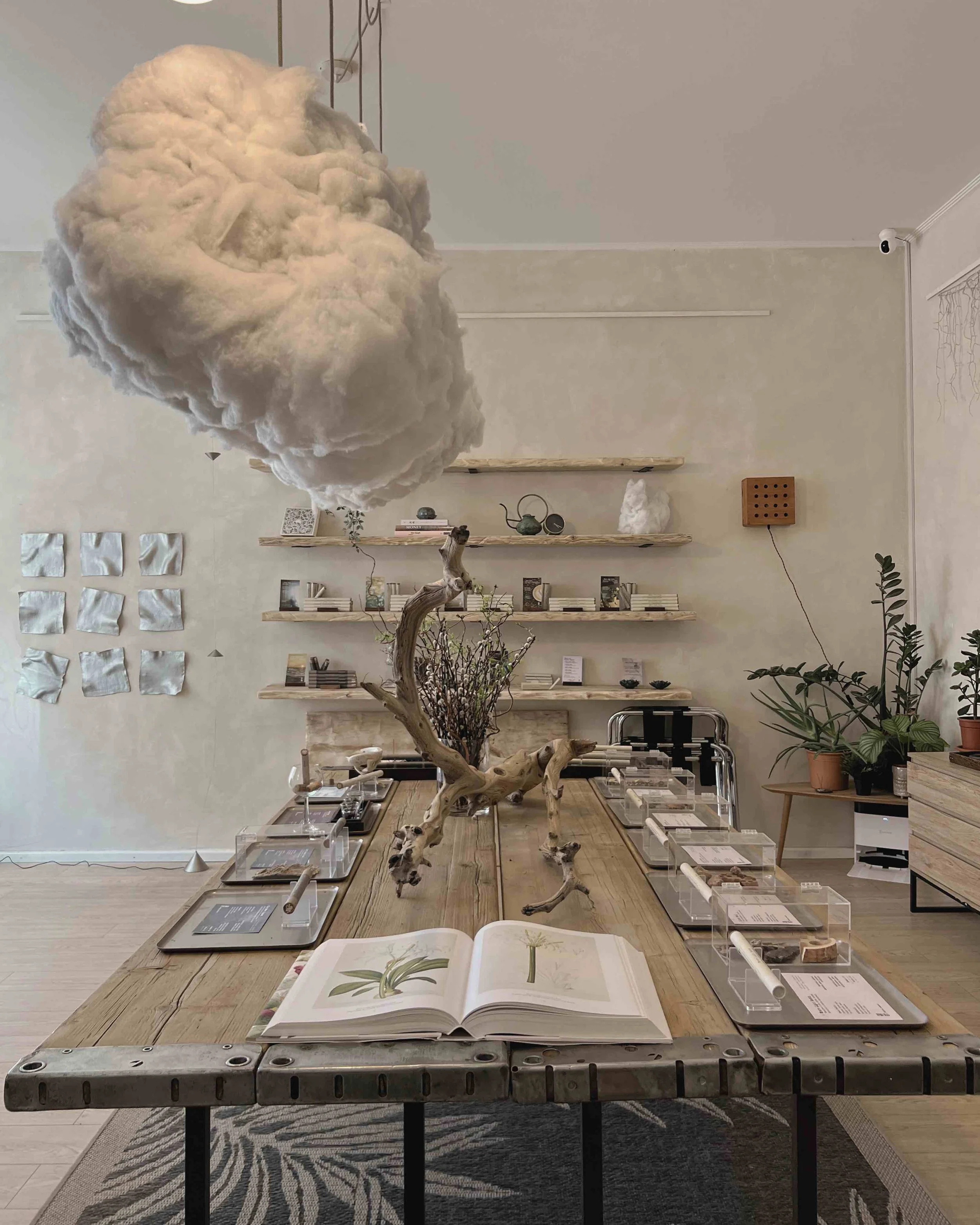 Scent &amp; Self: Journaling Ritual with Senlë Studio