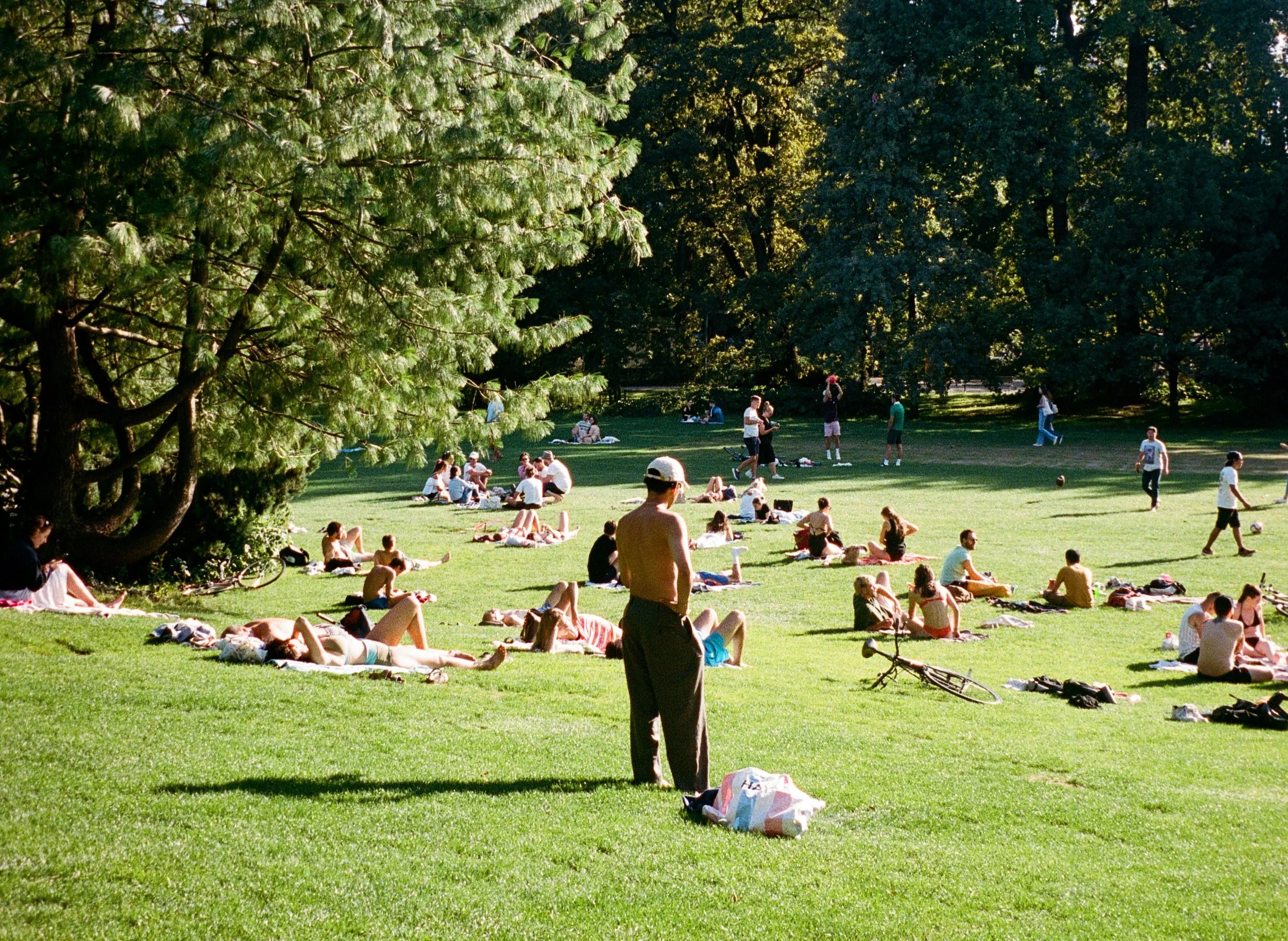 Networking Picnic
