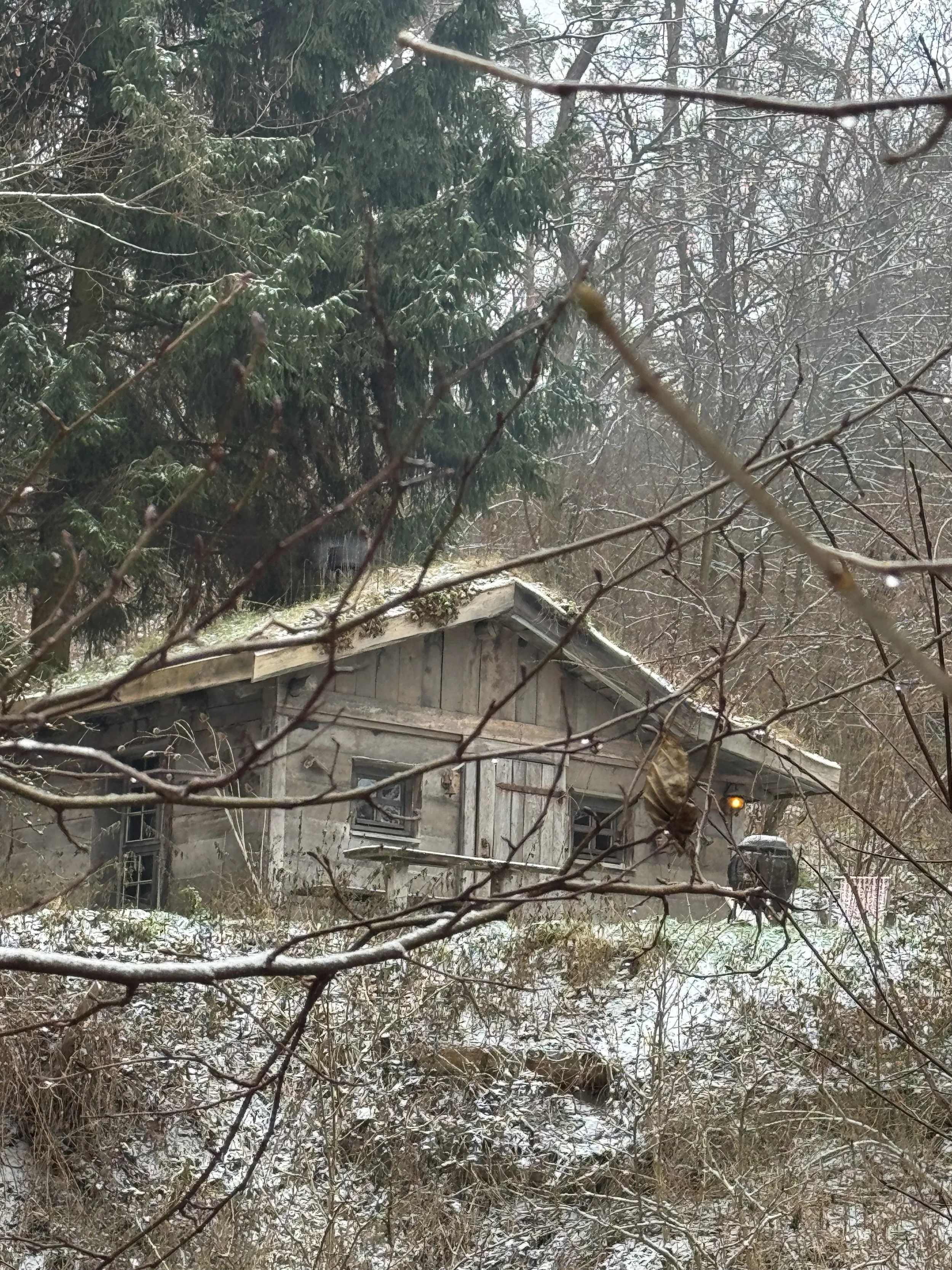 WINTER19.jpeg