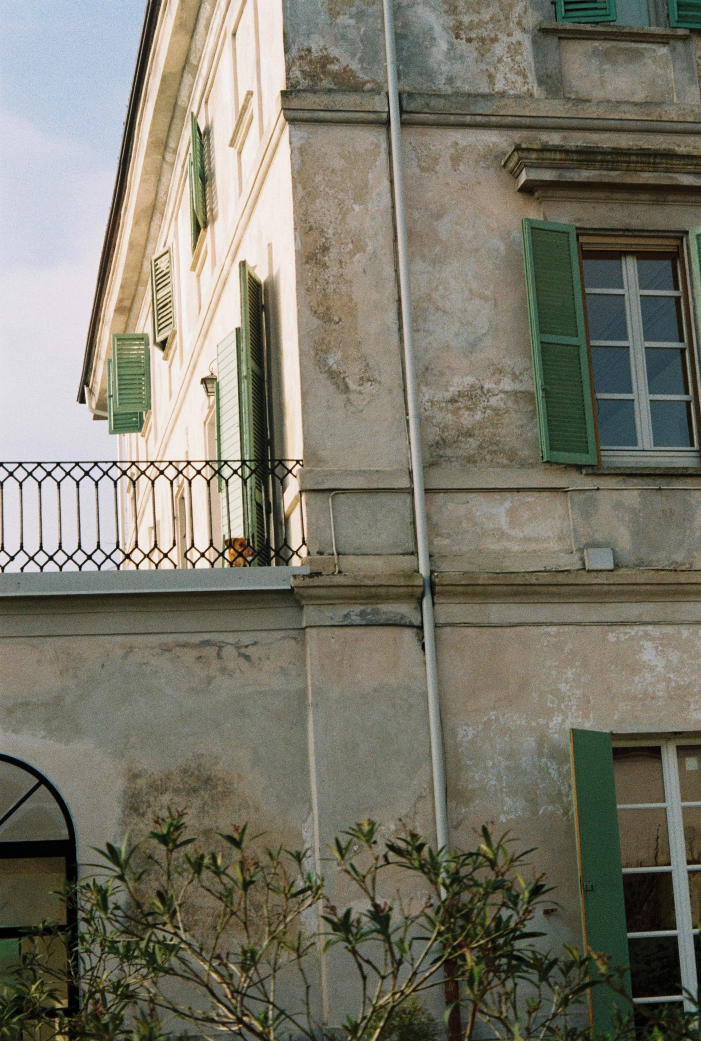 jivamutki yoga retreat in italy.jpeg