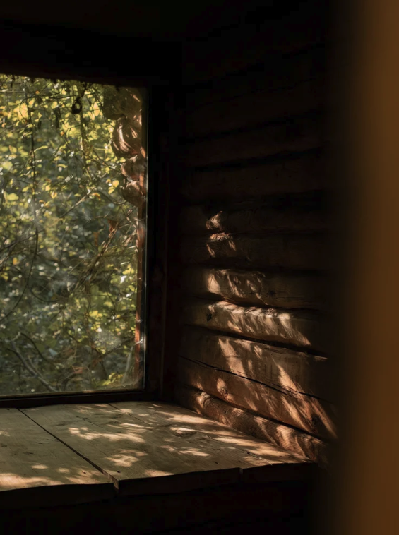 wooden hut fireplace nature retreat.png
