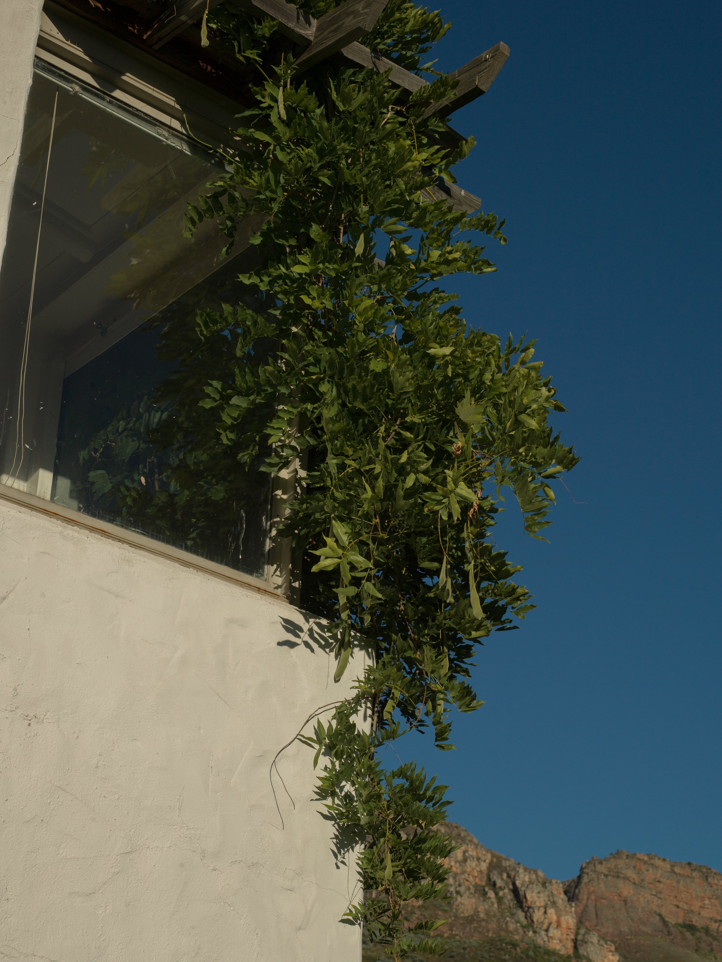 RESIDENCE DIGITAL123.jpg