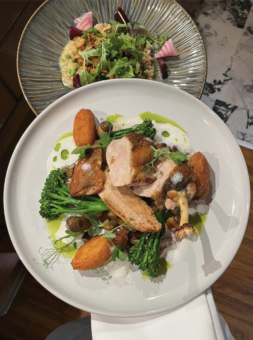 healthy organic food retreat bavaria.png