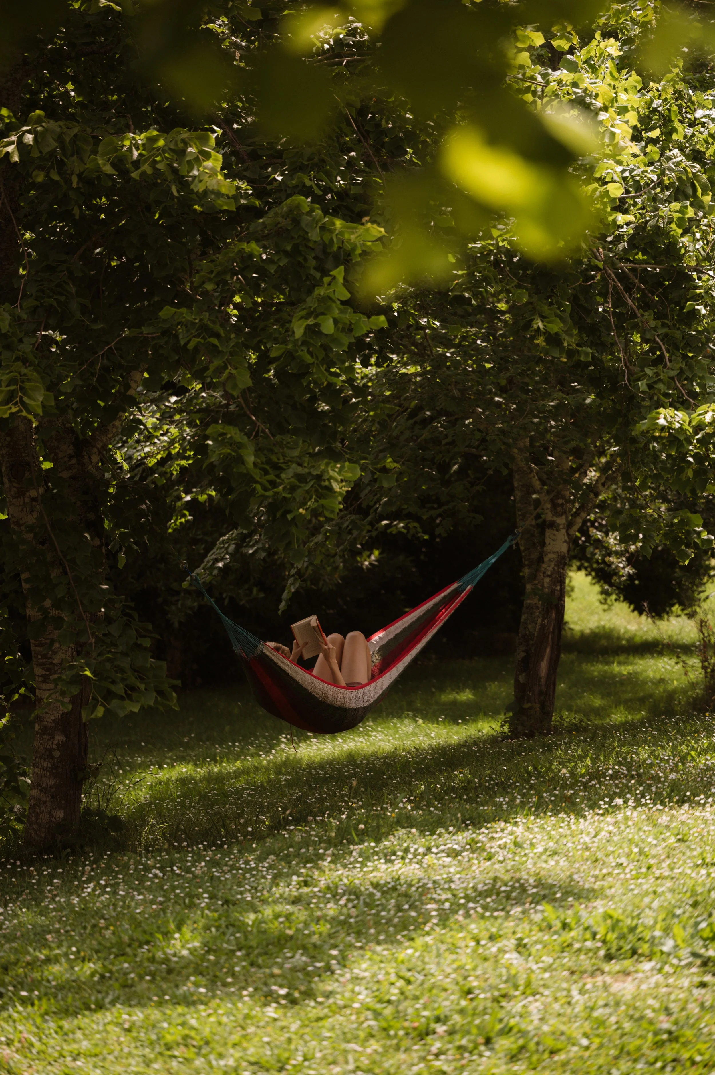 amassa nature retreat yoga relaxing.jpeg